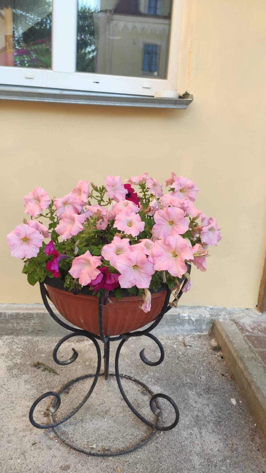 Фото Дом Трувеллера Ф&ф