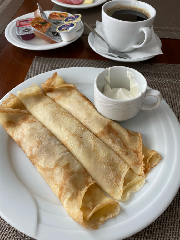 Фото Черепаха