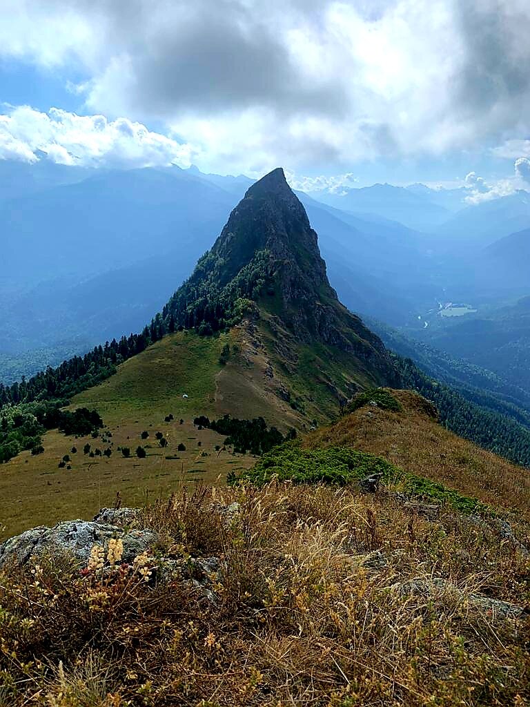 Фото ПихтаHouse