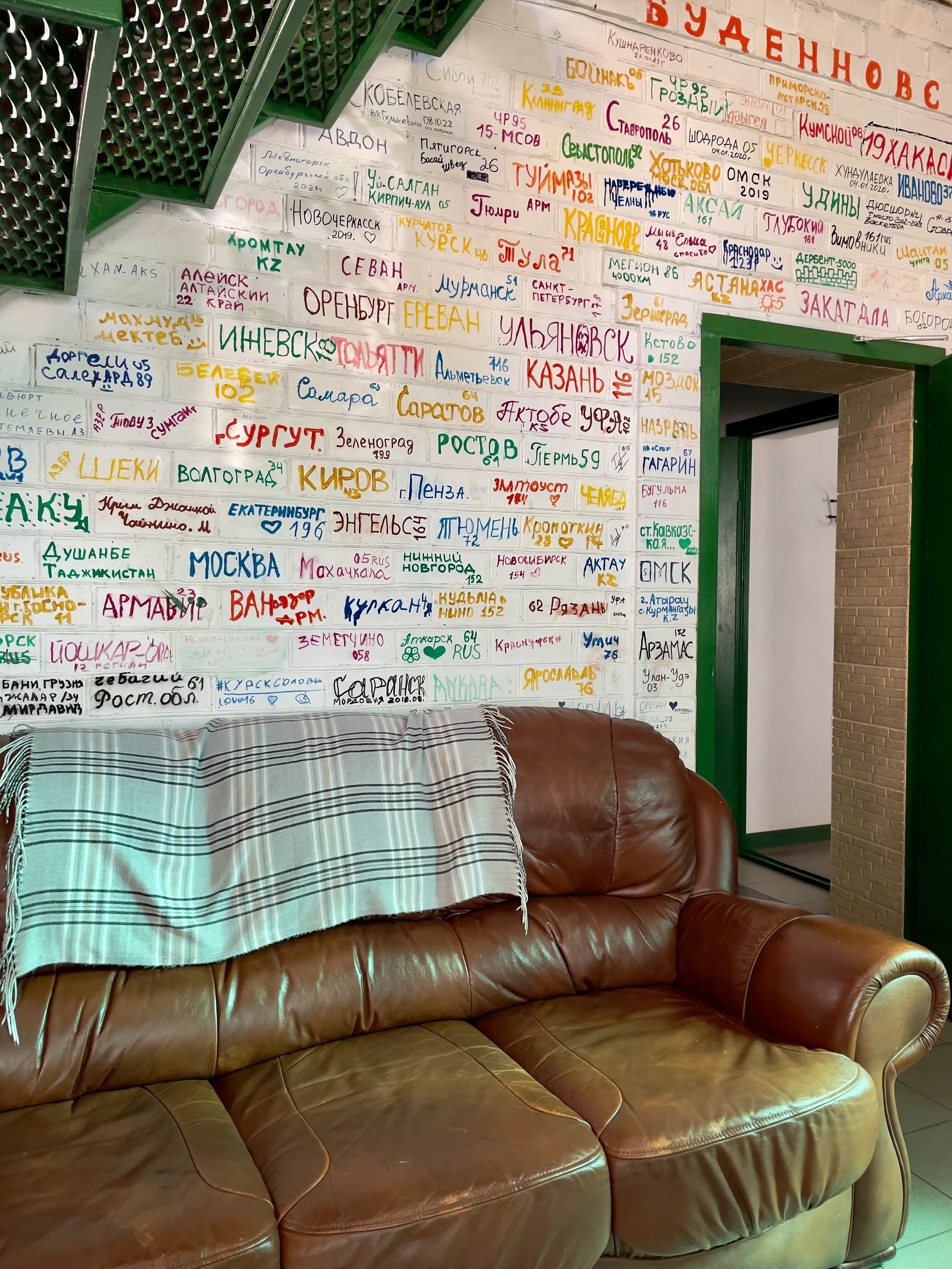 Фото Тополя