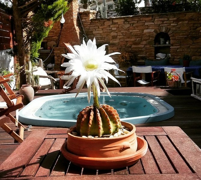 Фото Vincenzo Family Hotel