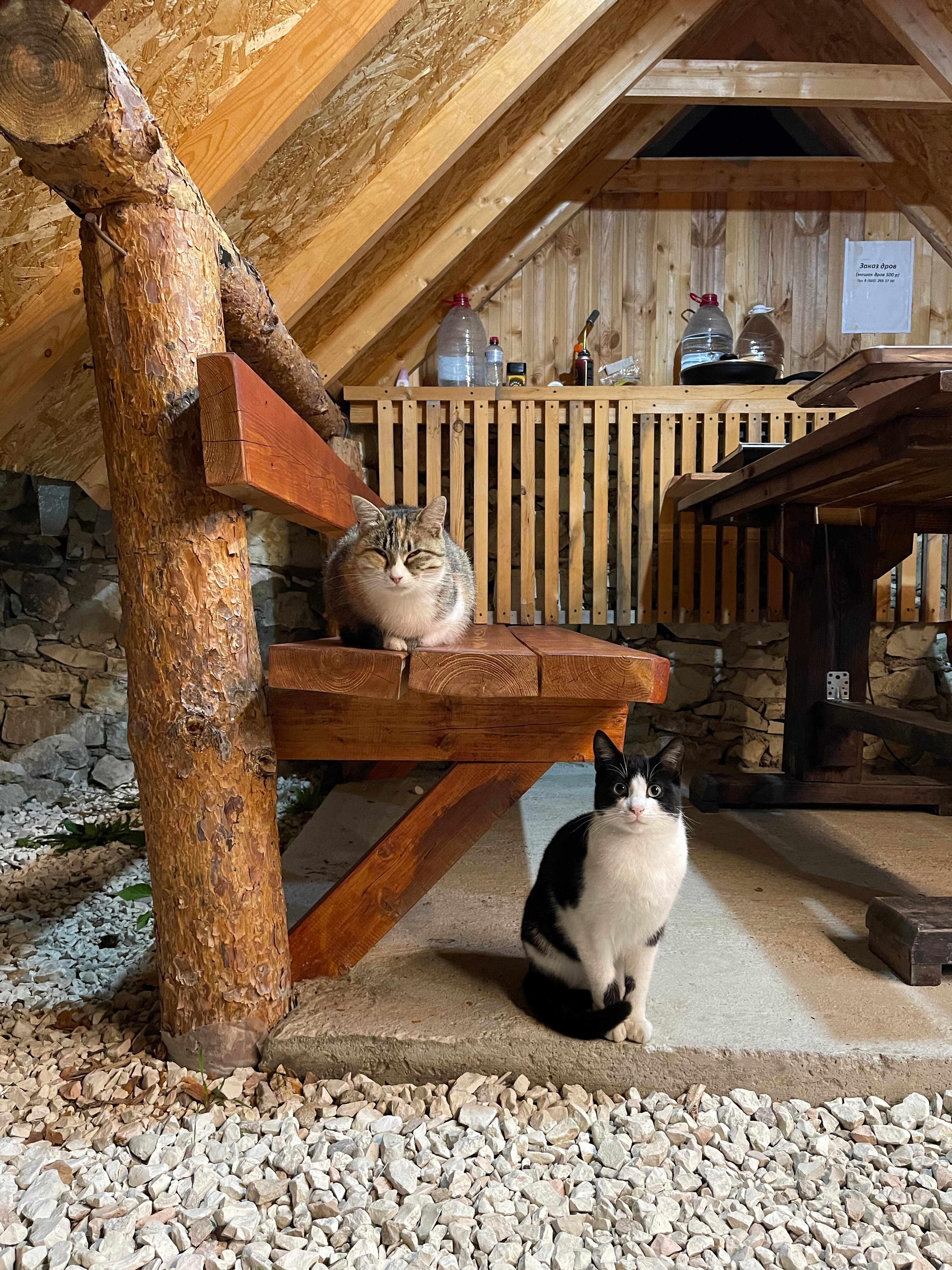 Фото Сиреневый рассвет