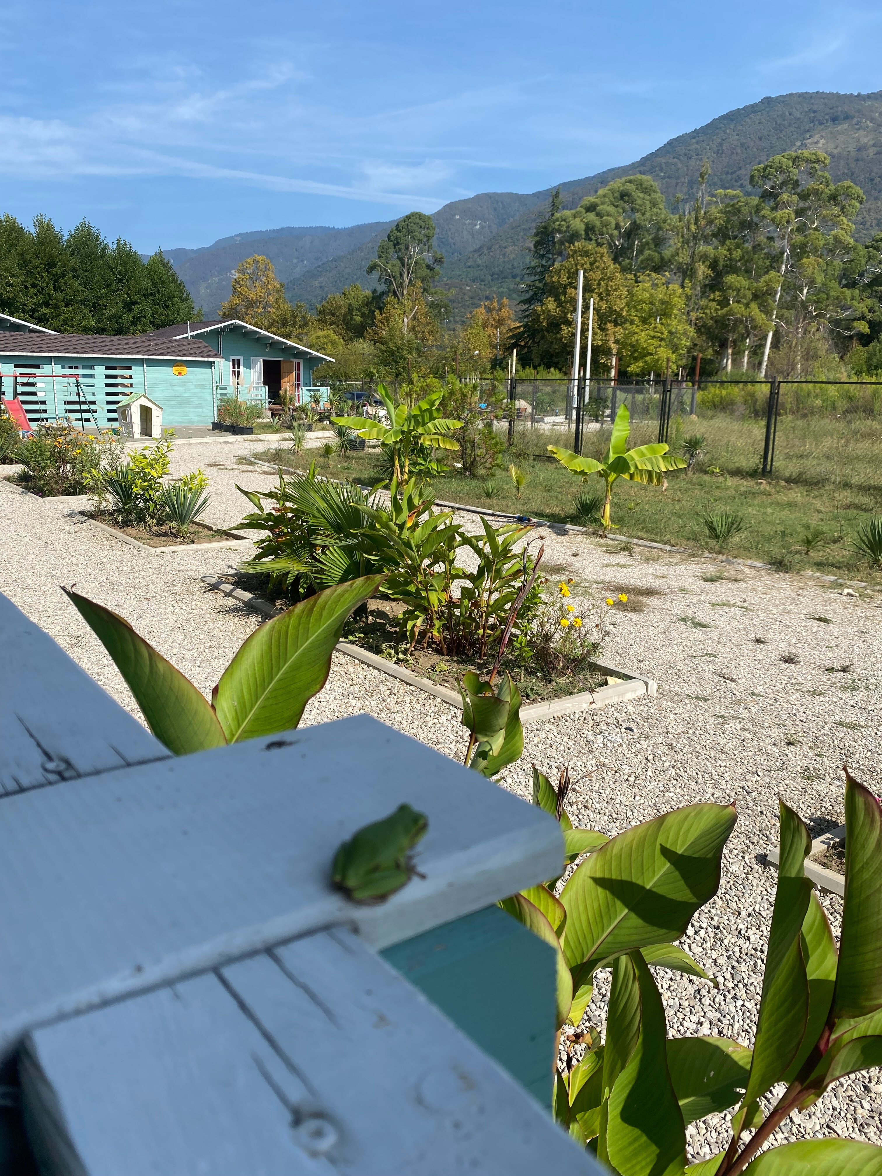 Фото Лазурный