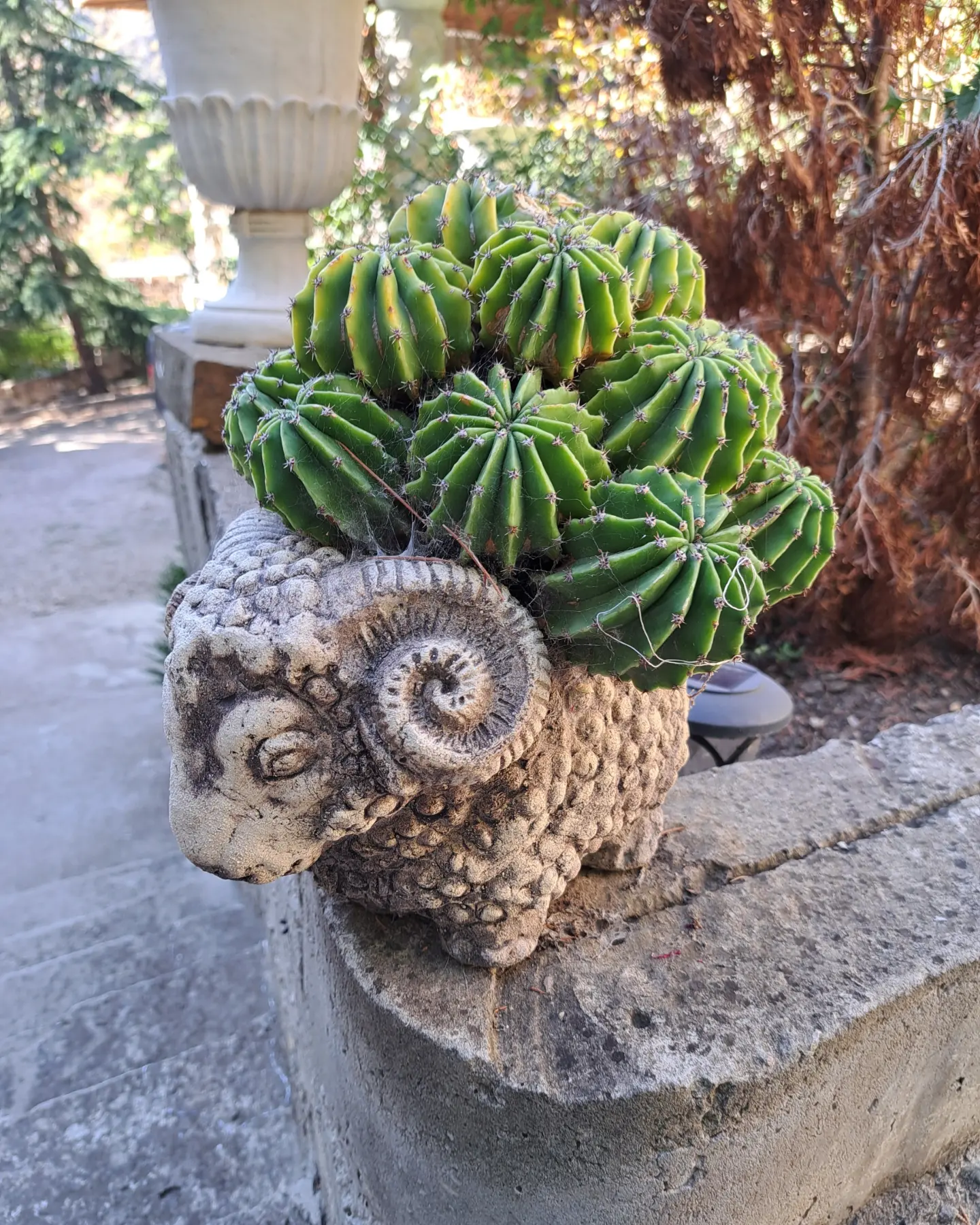 Фото Дом архитекторов