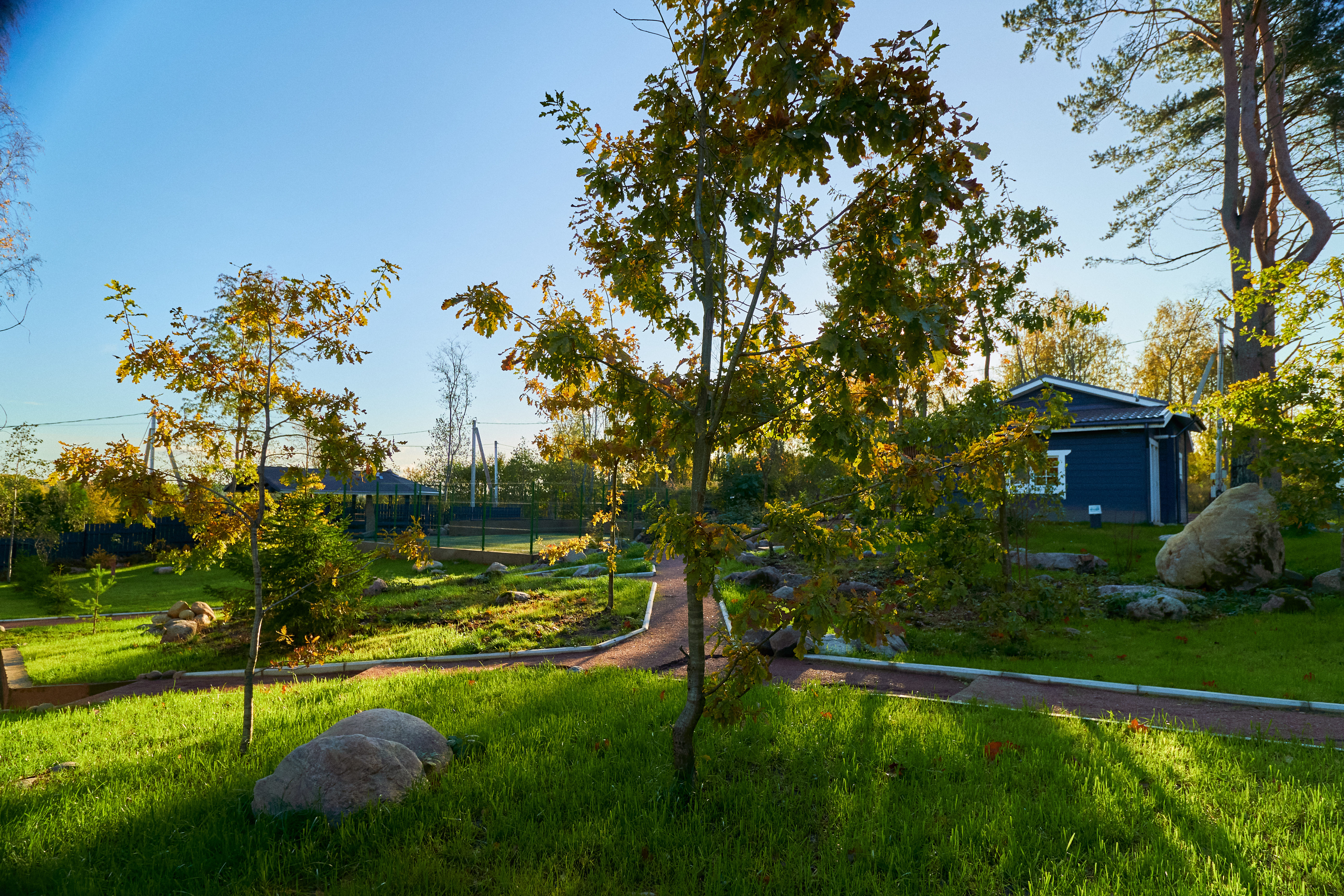 Фото Талони