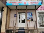 Зоомагазин (ulitsa Chernyakhovskogo, 5) ، متجر للحيوانات الأليفة