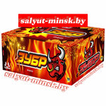 Salyut-minsk.by (Minski District, Barawlianski Rural Council, 90), fireworks and pyrotechnics