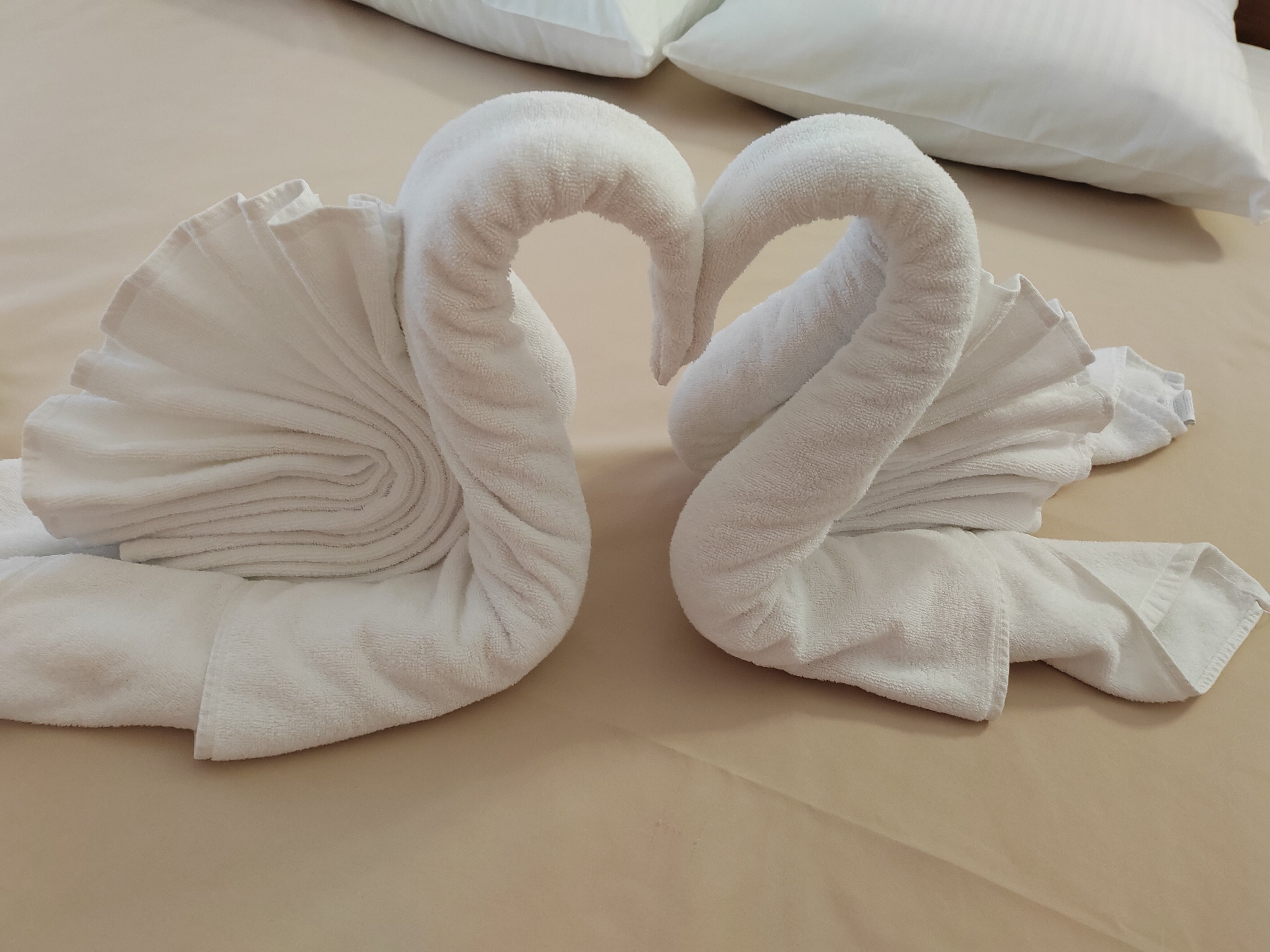 Фото Грин Парк