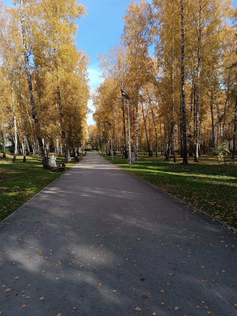 منتزه Сад имени Дзержинского ، نوفوسيبيرسك، صورة