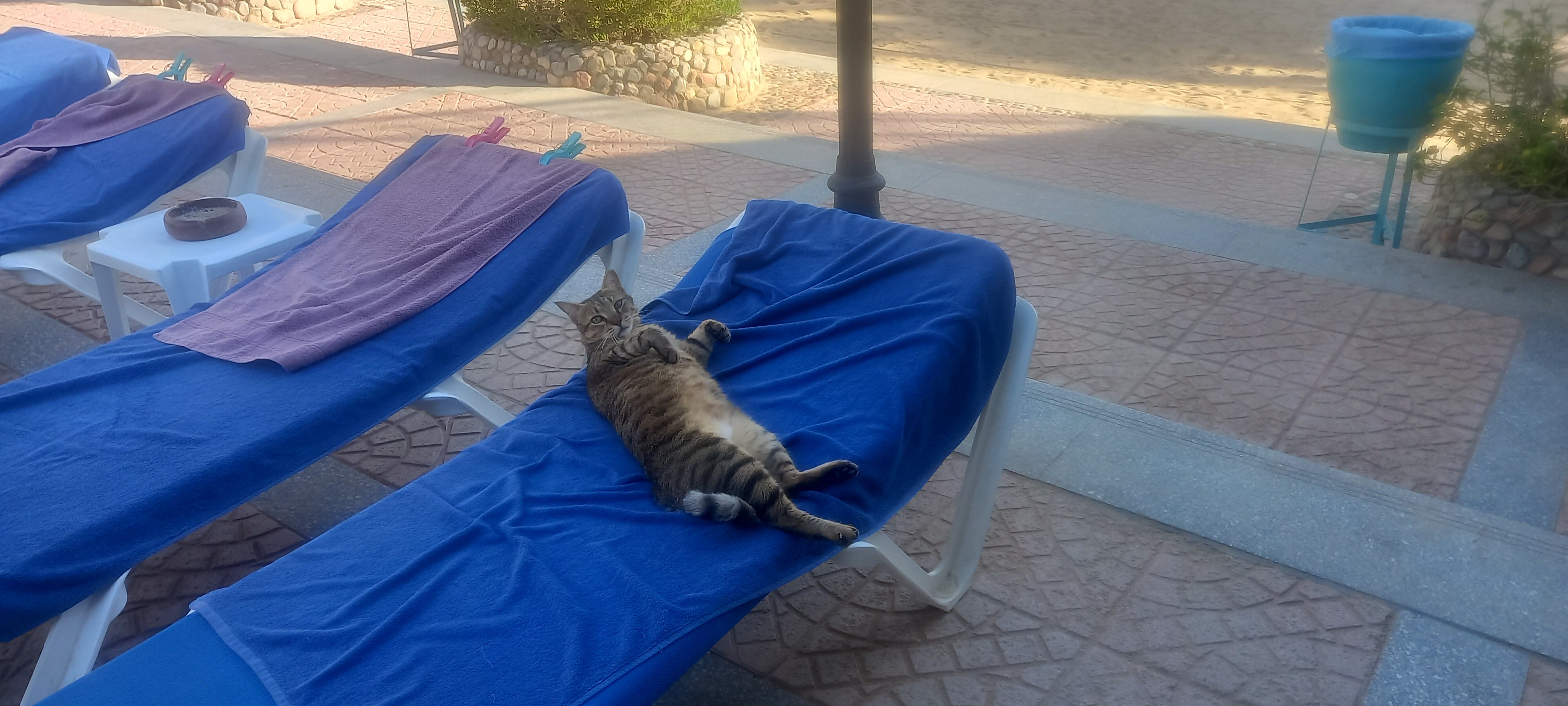 Фото Bella Vista Resort