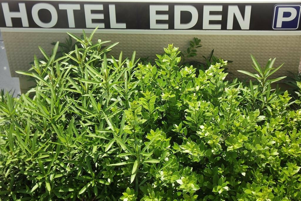 Фото Hotel Eden