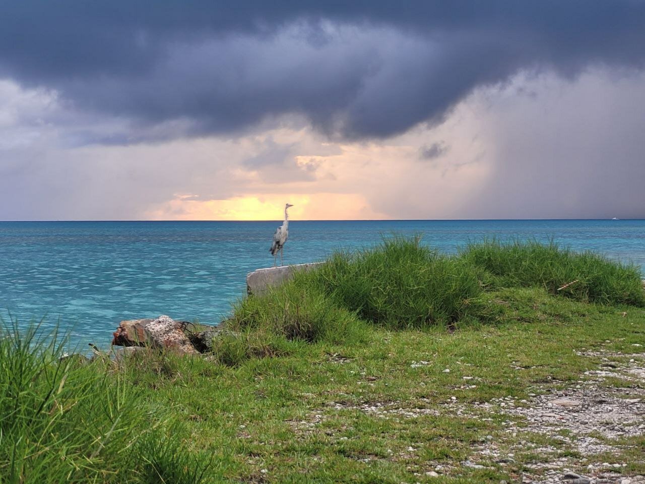 Фото Ameera Maldives