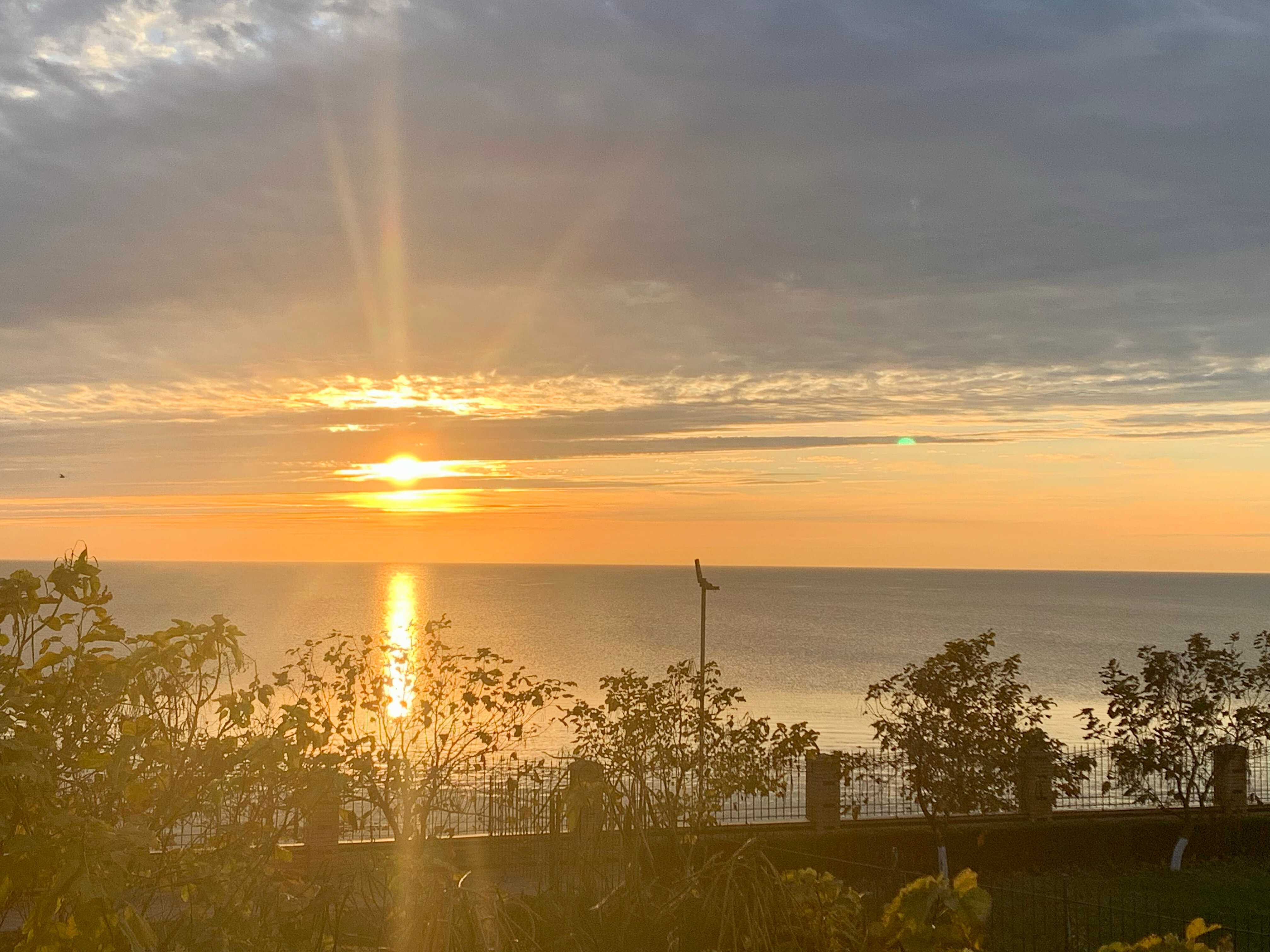 Фото Star Crystal