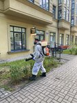 ParazitovNet (Chernyakhovskogo Street, 6), desinfección, desinsectación, desratización