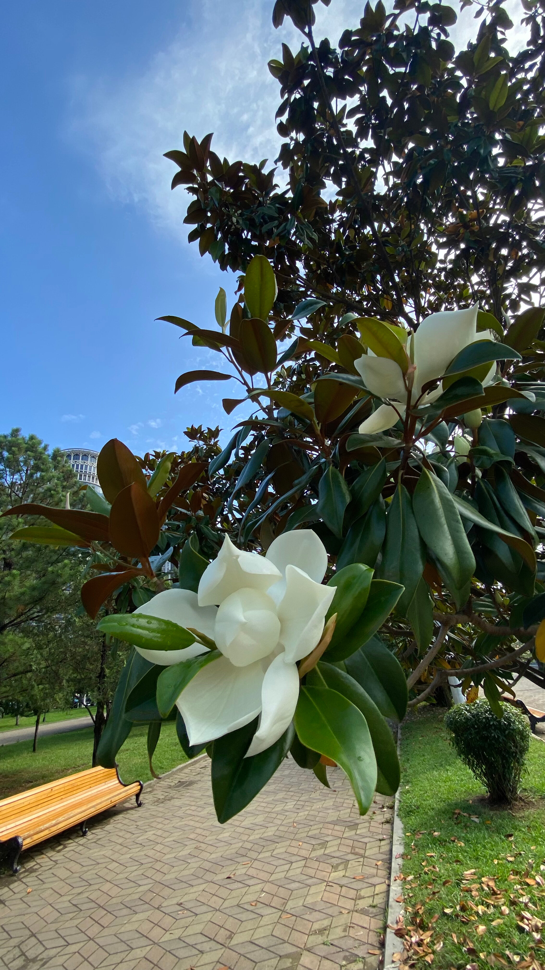 Фото House at the Sea
