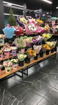 Elite Flowers (Komendantskiy Avenue, 57к1), flower shop