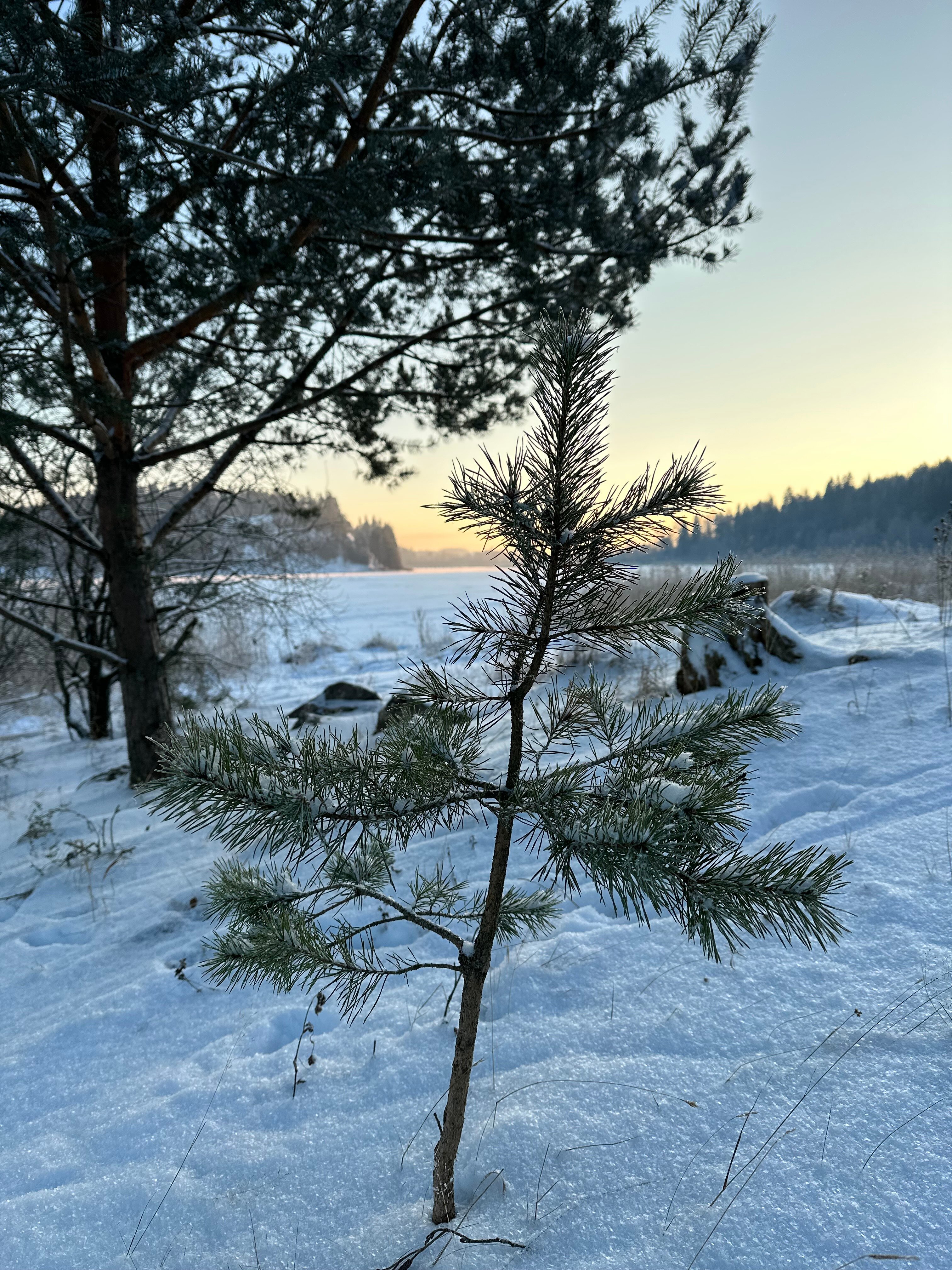 Фото Karjalan Talo