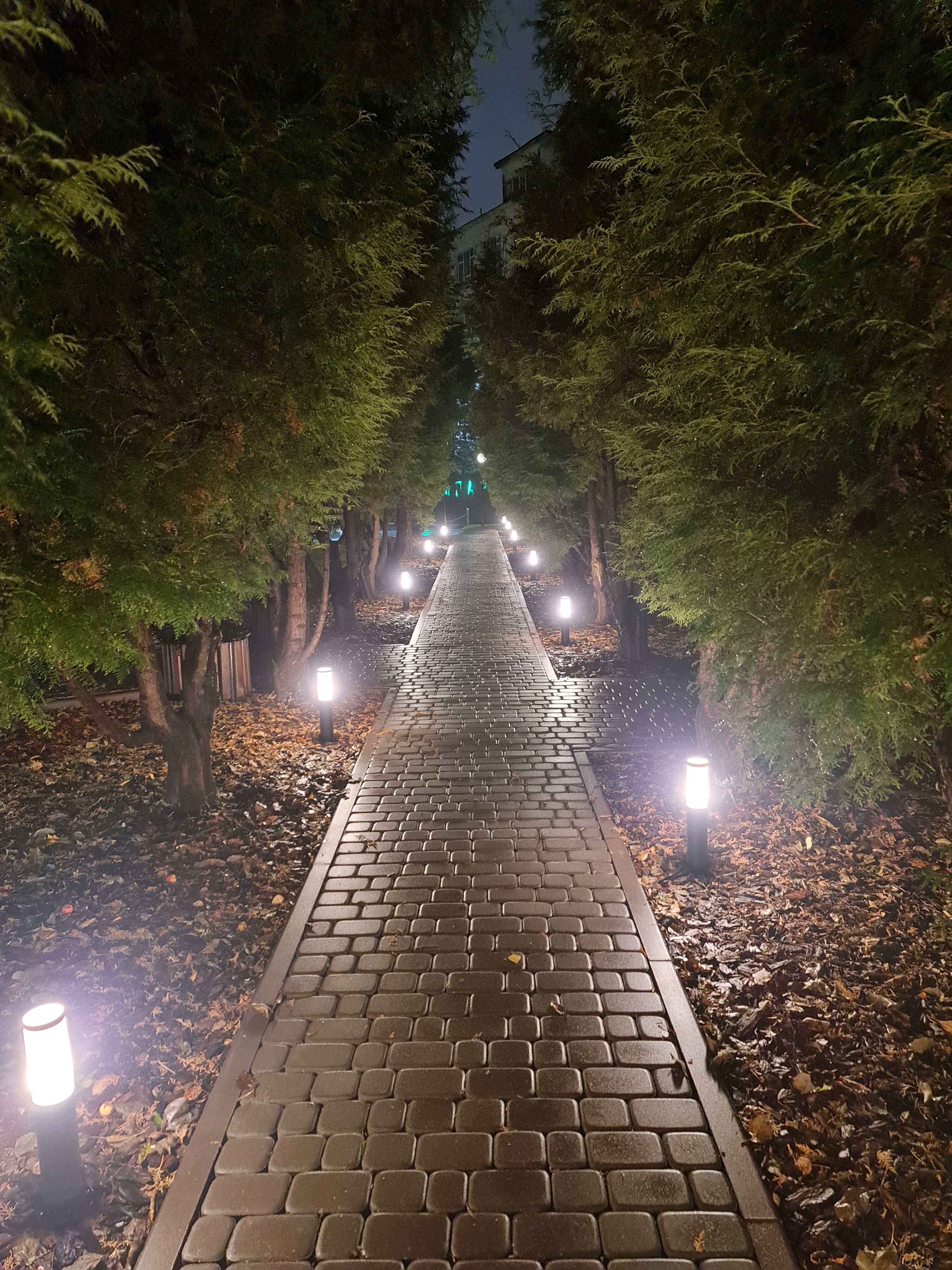 Фото Ситипарк