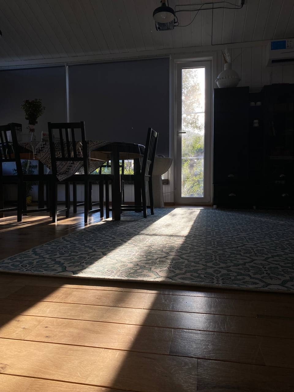 Фото Секвойя