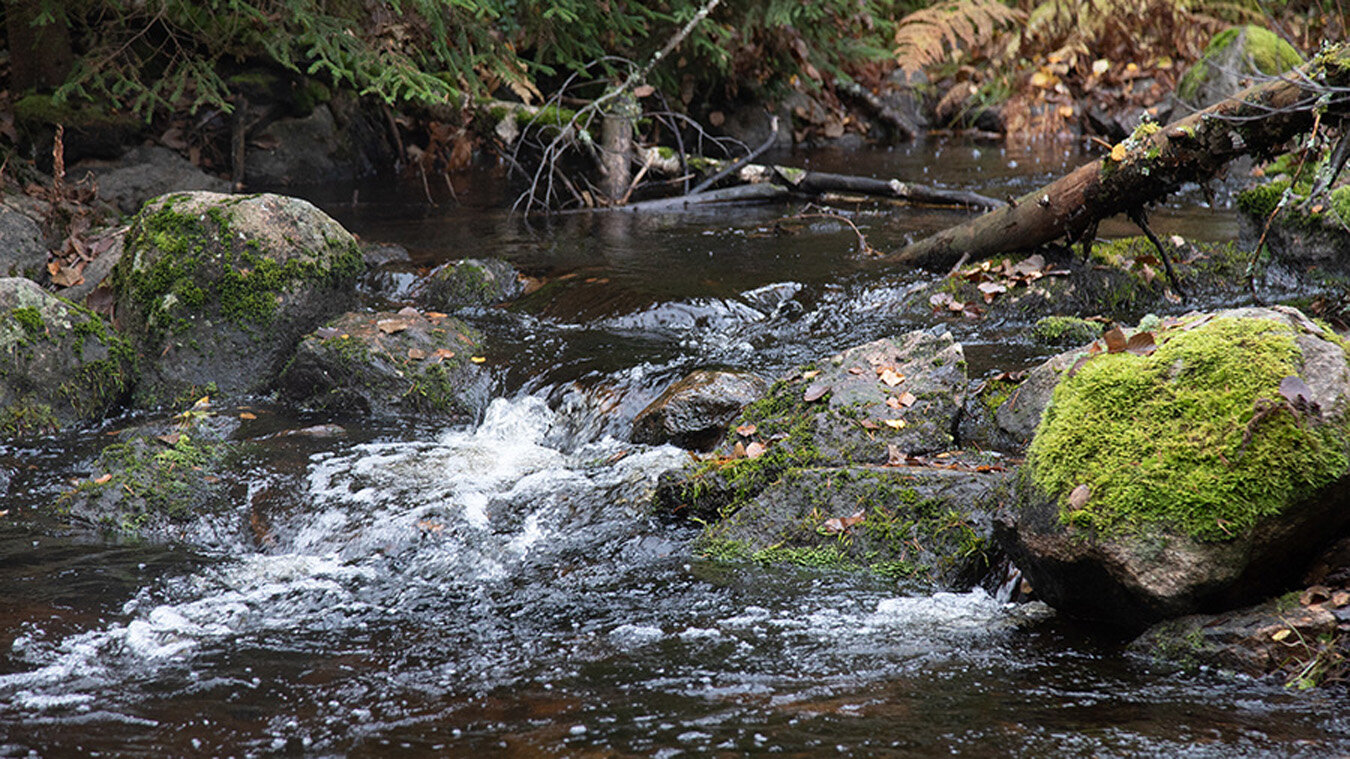 Фото Заветное