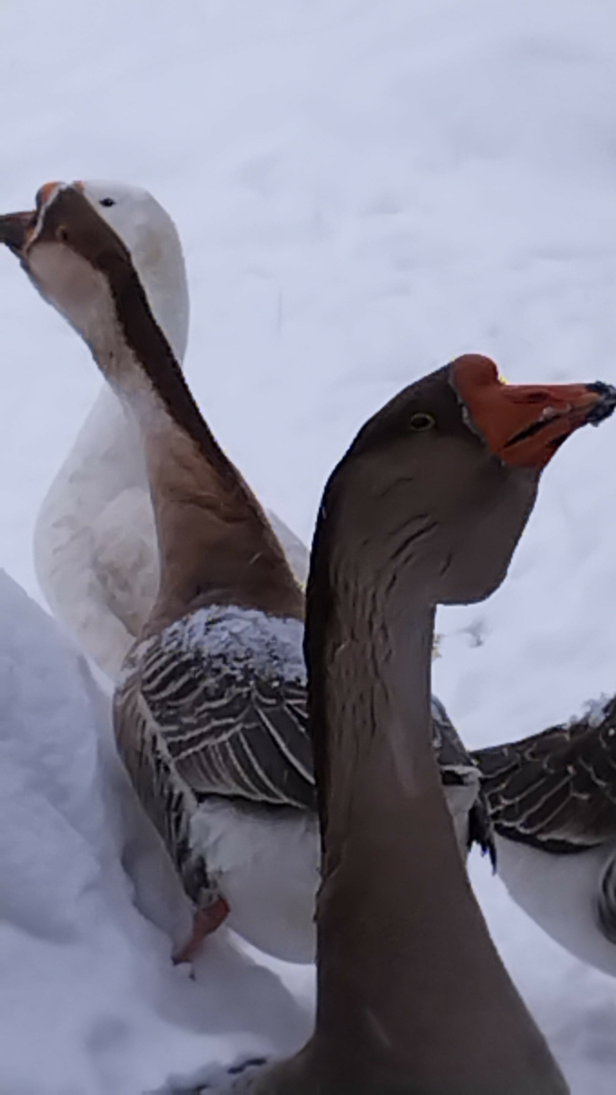 Фото Усадьба