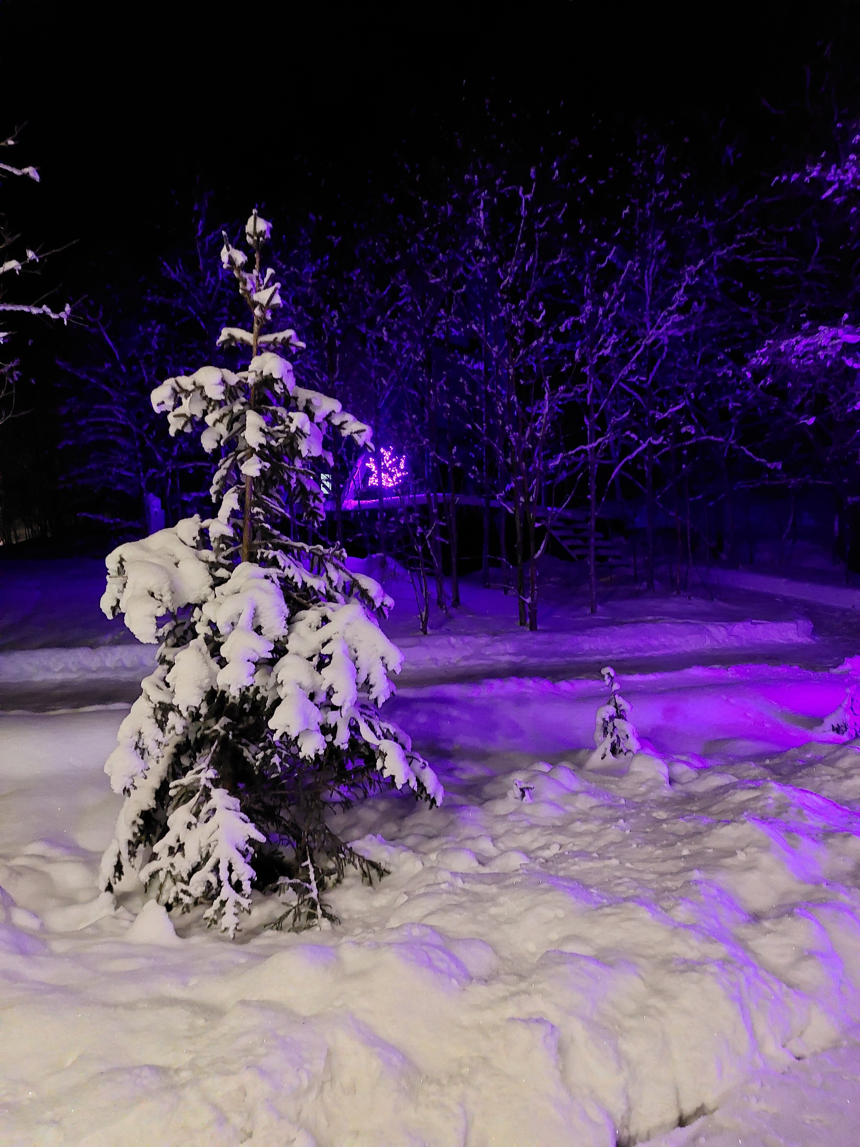 Фото Абракадабра