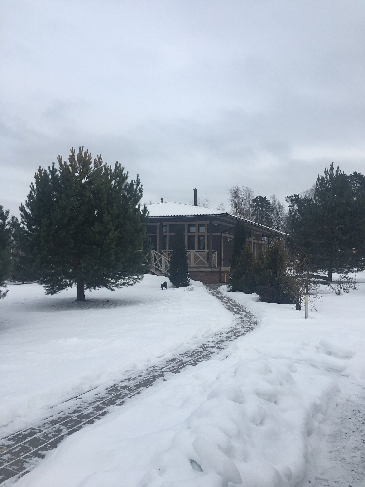 Фото Брунколь