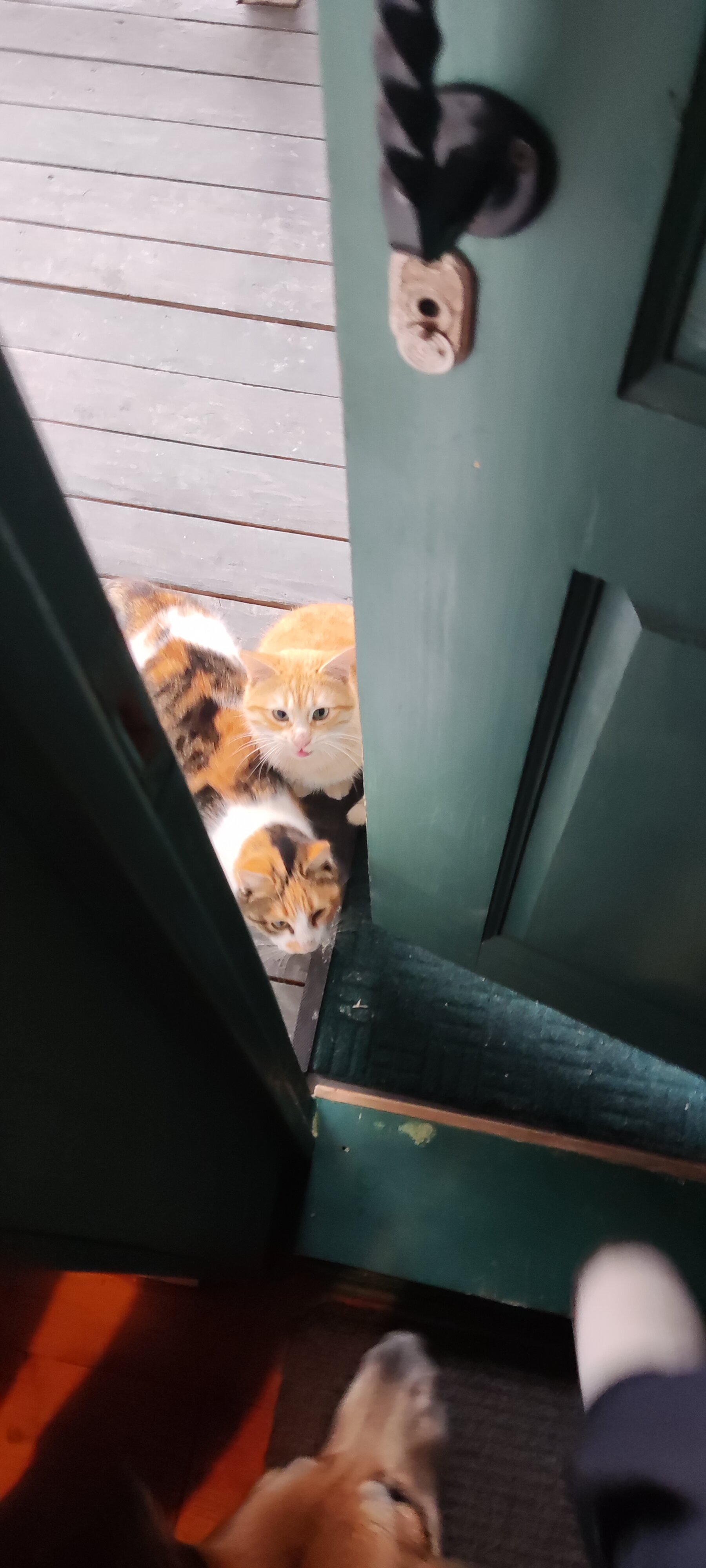 Фото Дедеркой мой рай