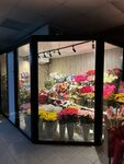 Подсолнух (Центральная ул., 8, микрорайон Южный), магазин цветов во Всеволожске