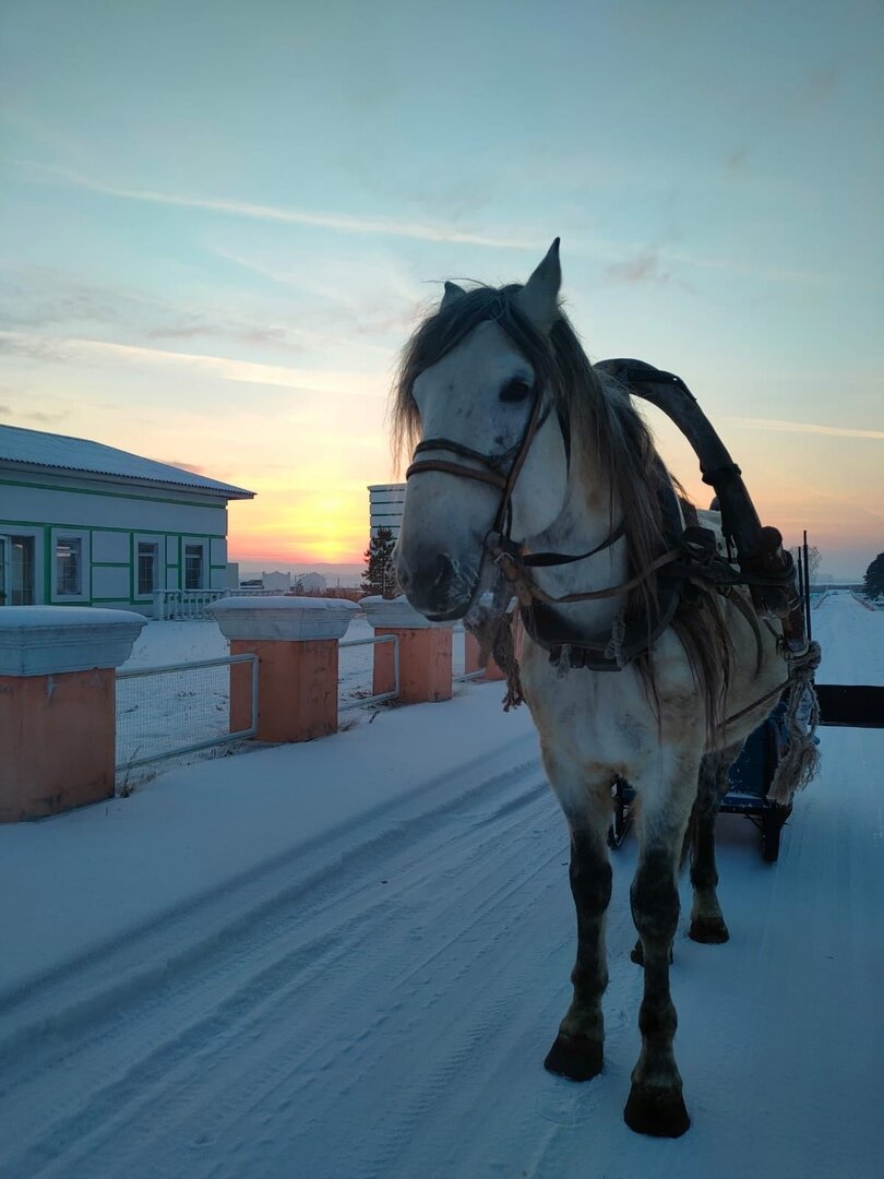 Фото Сибирская Венеция