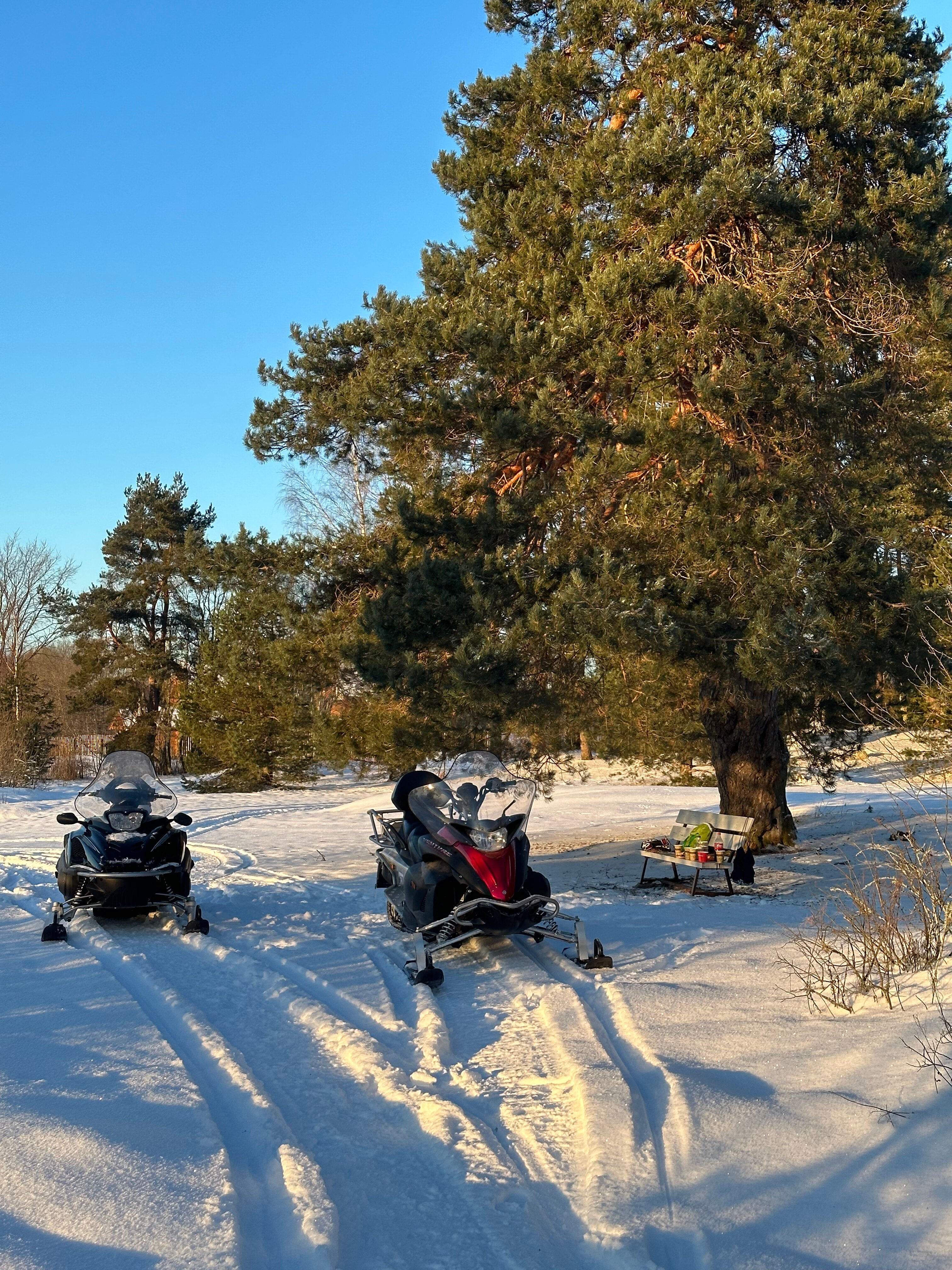 Фото Озерява