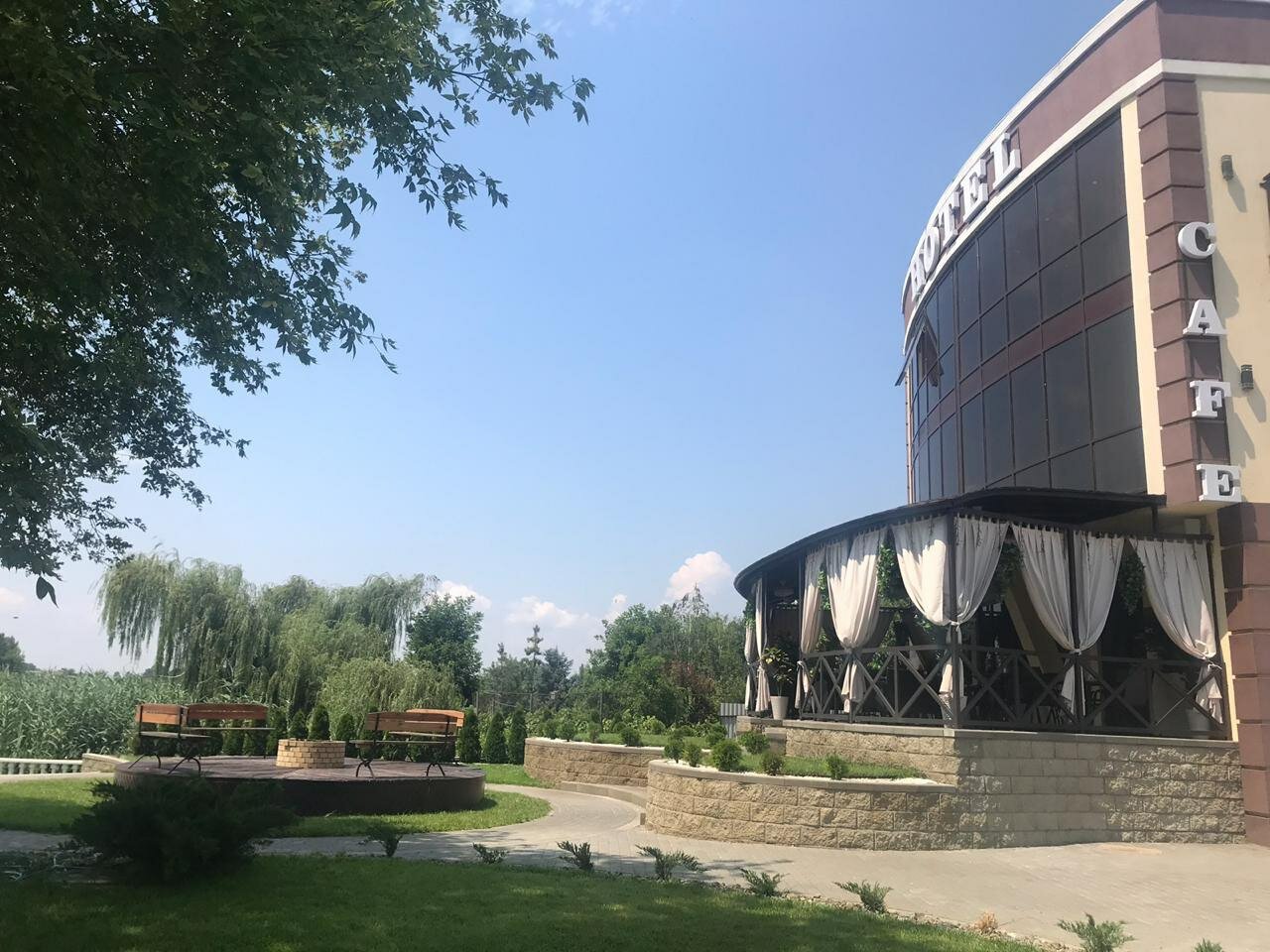 Фото Голден Стар