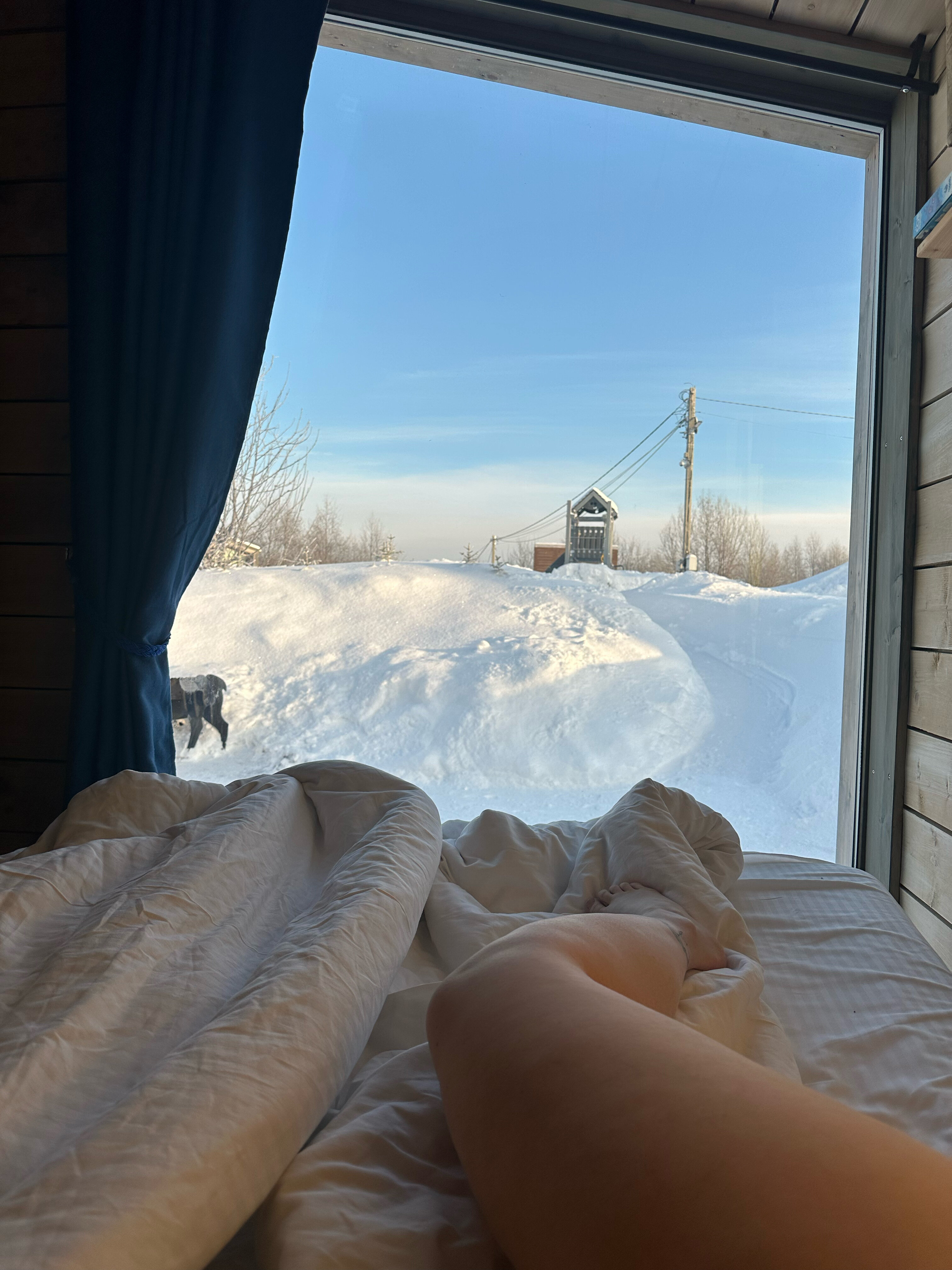 Фото Мишка на прудах