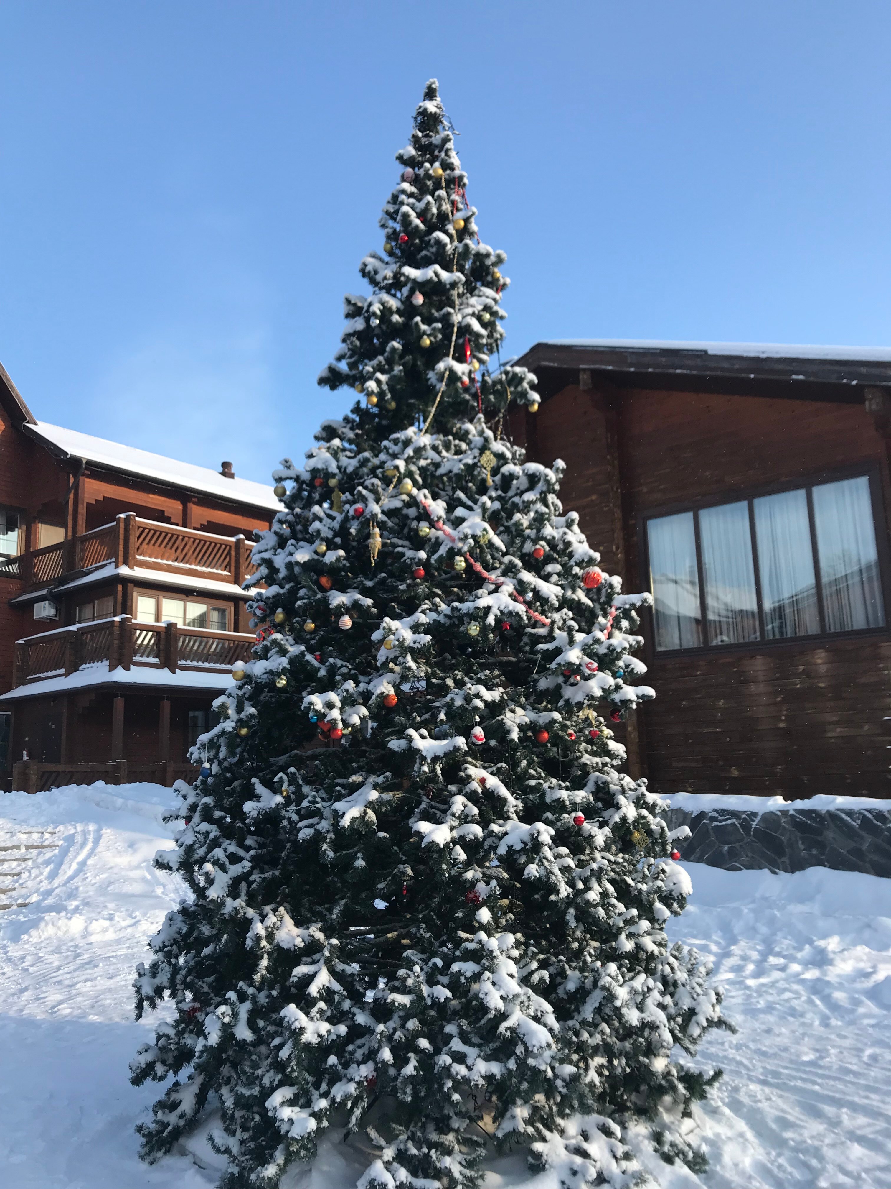 Фото Aldego Hotel & SPA