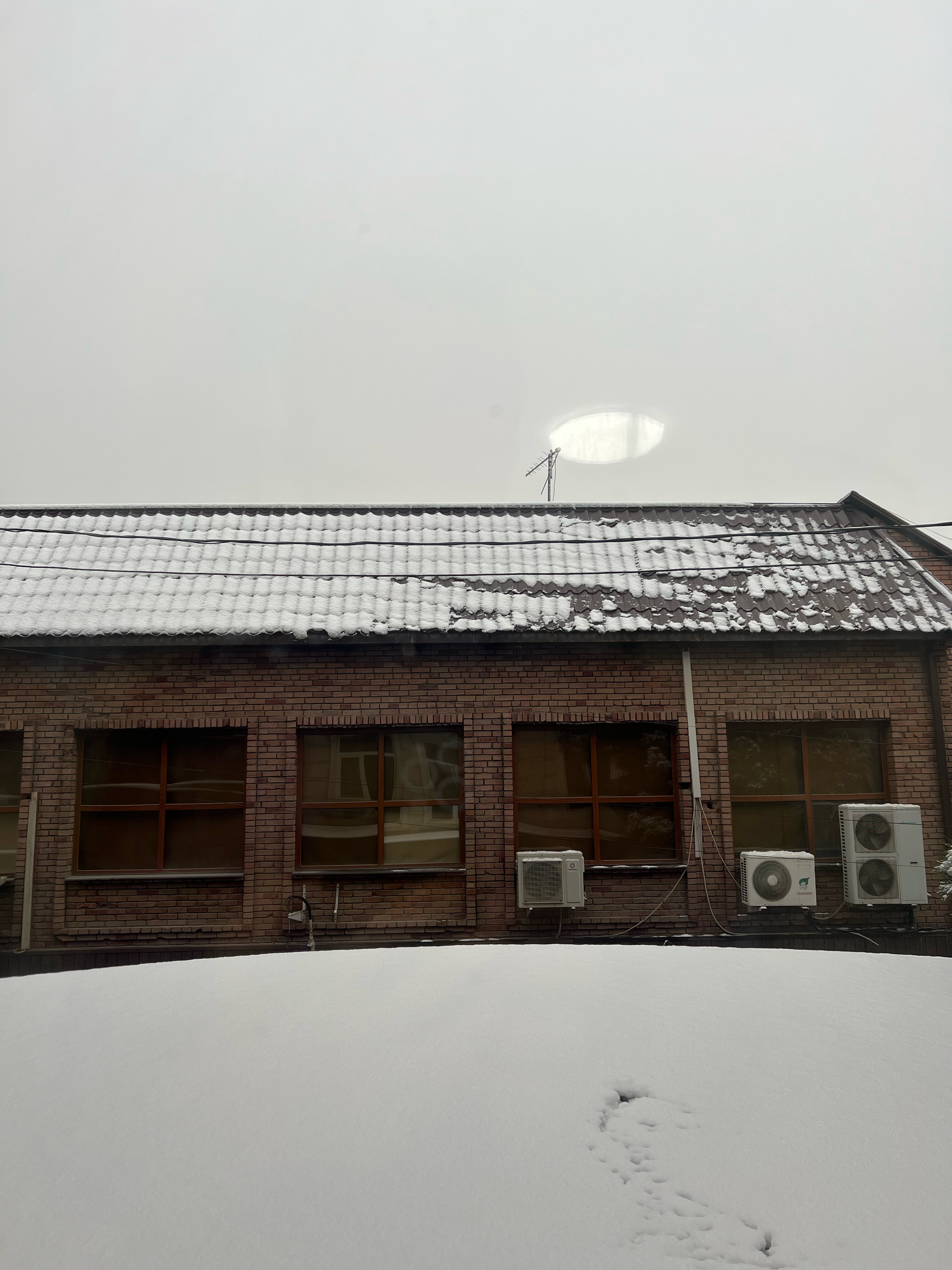 Фото Art Plaza Hotel