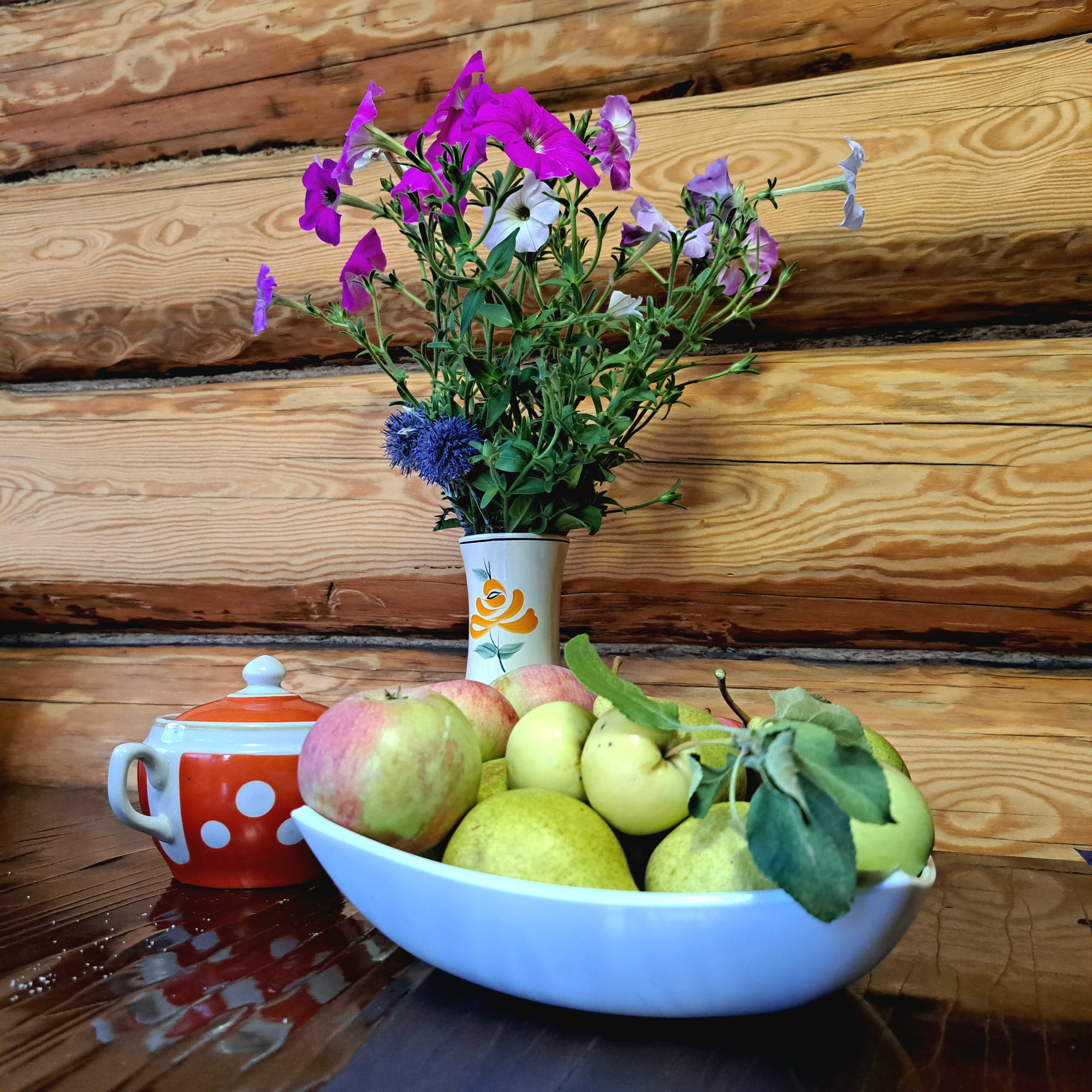 Фото Дикая Вишня