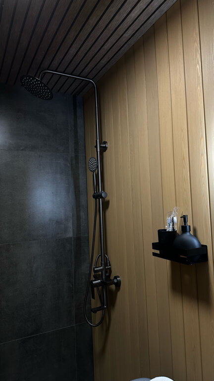 Фото Ёлки да Сосны