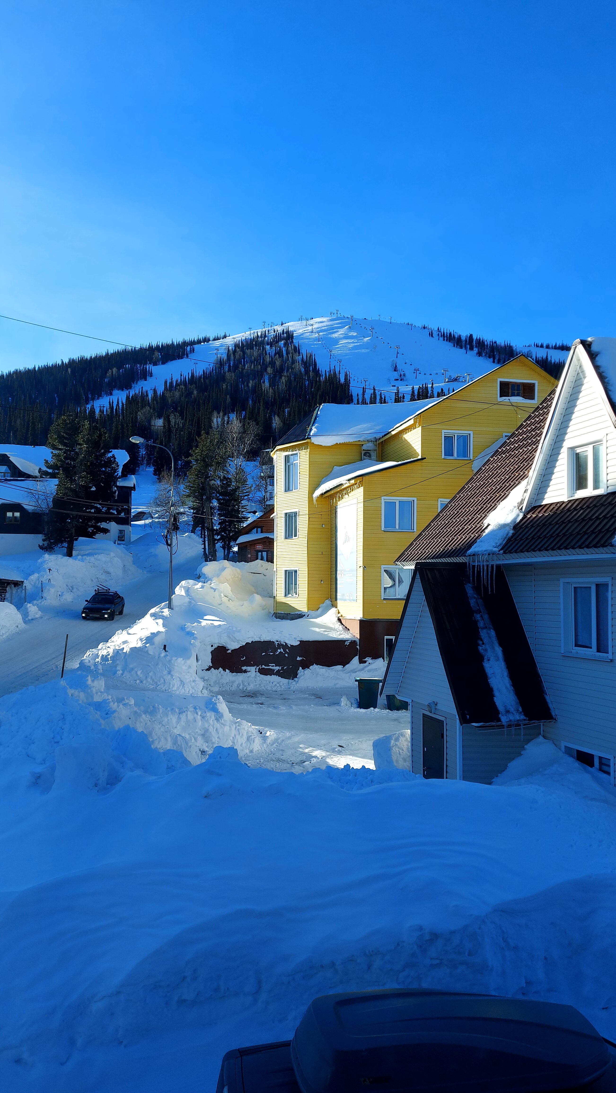 Фото Медведица