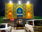 Shark (Tyumen Region, gorodskoy okrug Tobolsk, R-404, 253-y kilometr, с1), cafe
