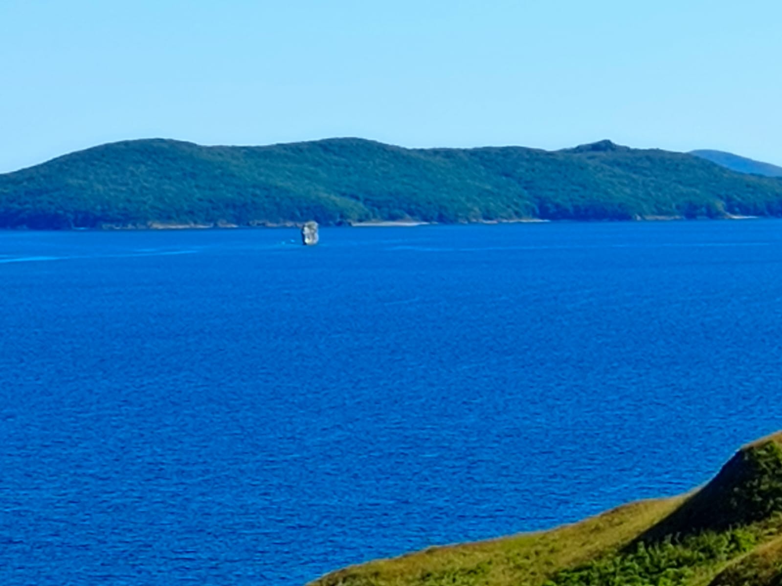 Фото Портовый