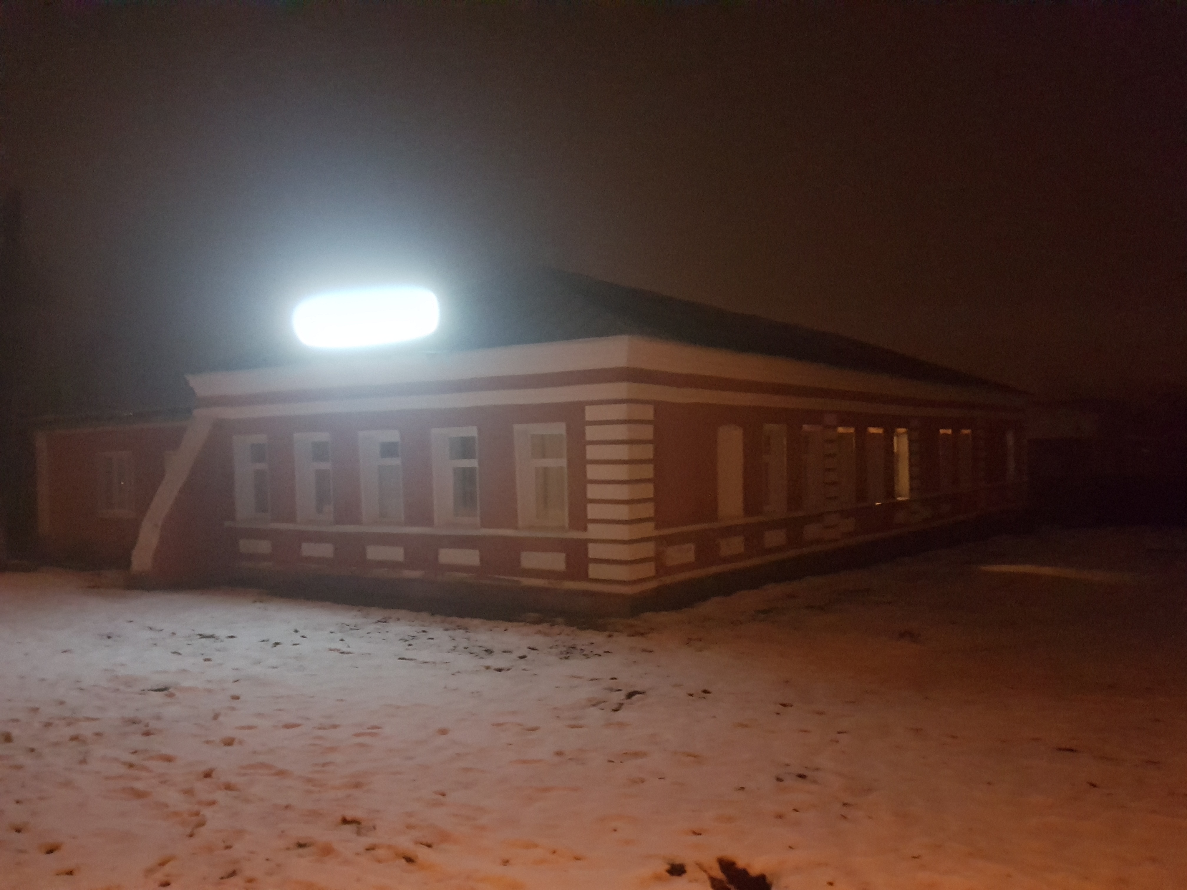 Фото Базилик