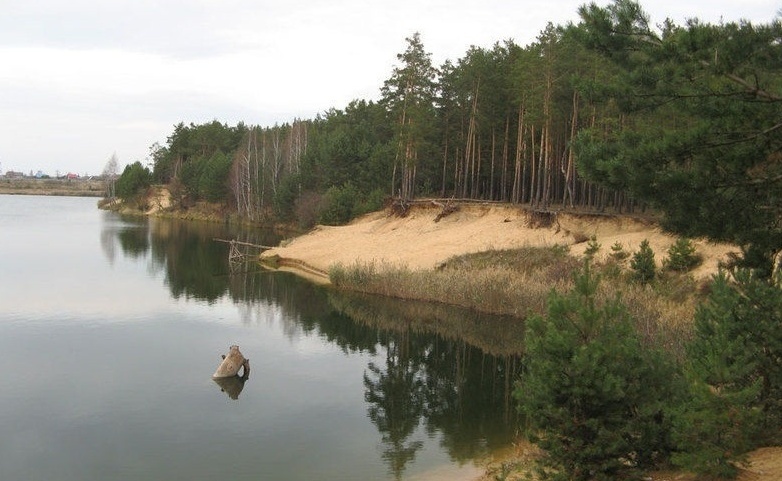 Фото Кукушка