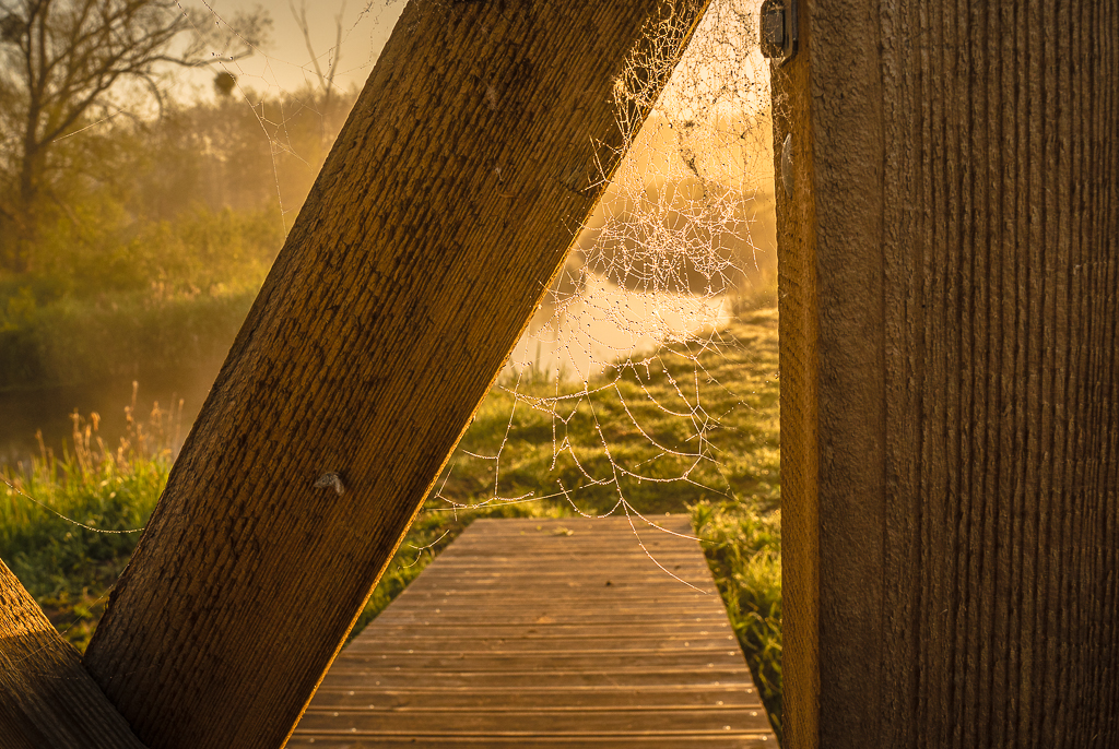 Фото Беловежское поместье