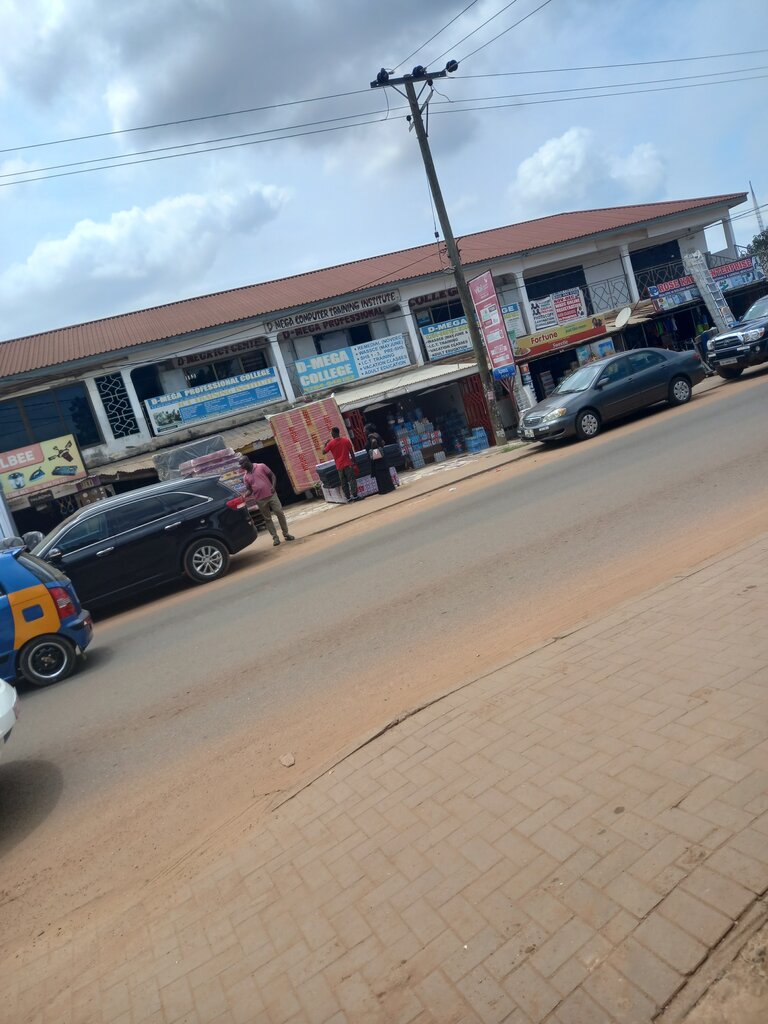 College D Mega College, Earth, photo