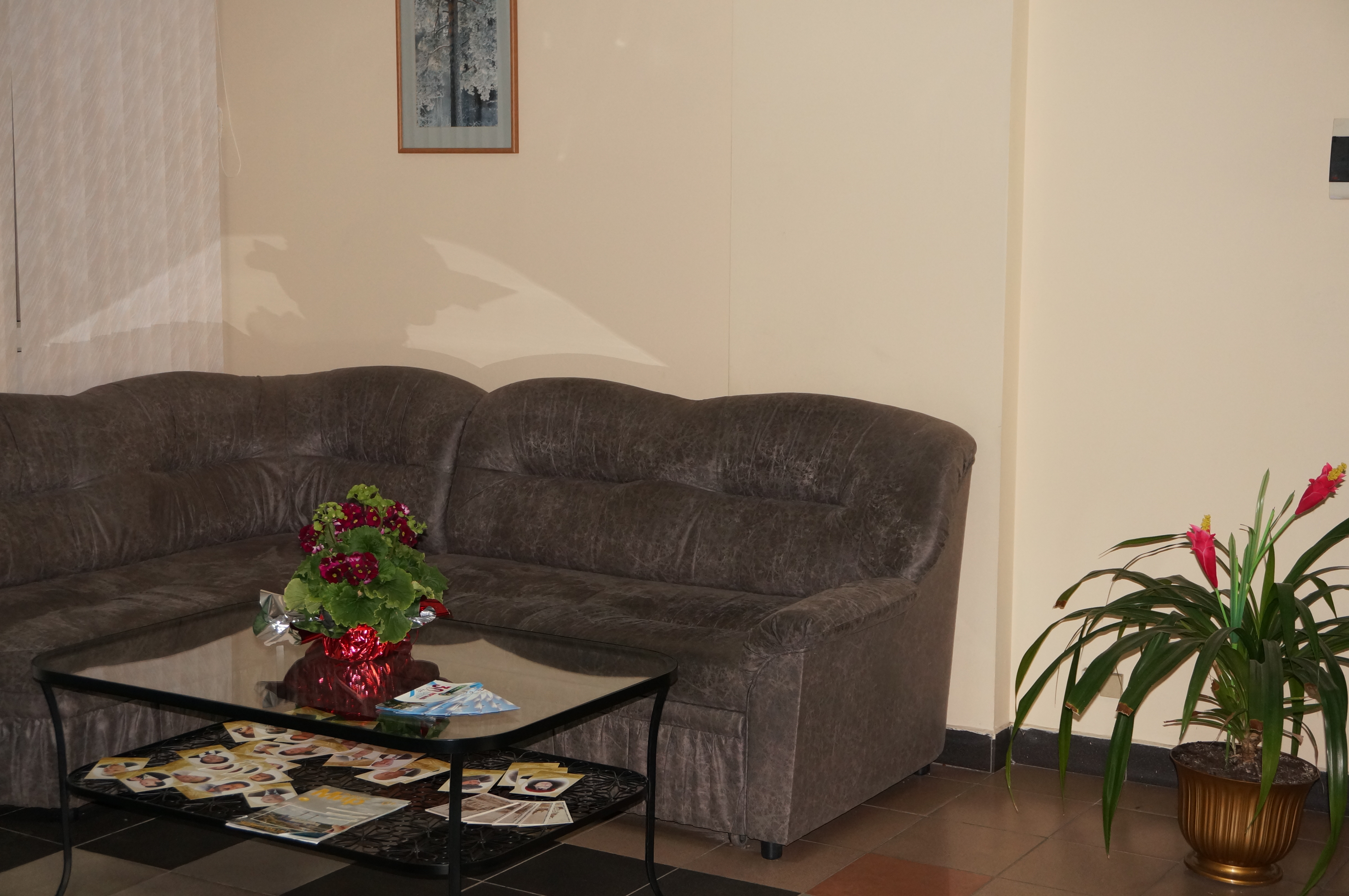 Фото Соболь