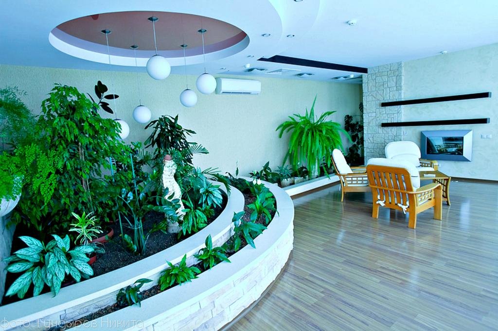 Фото Надежда