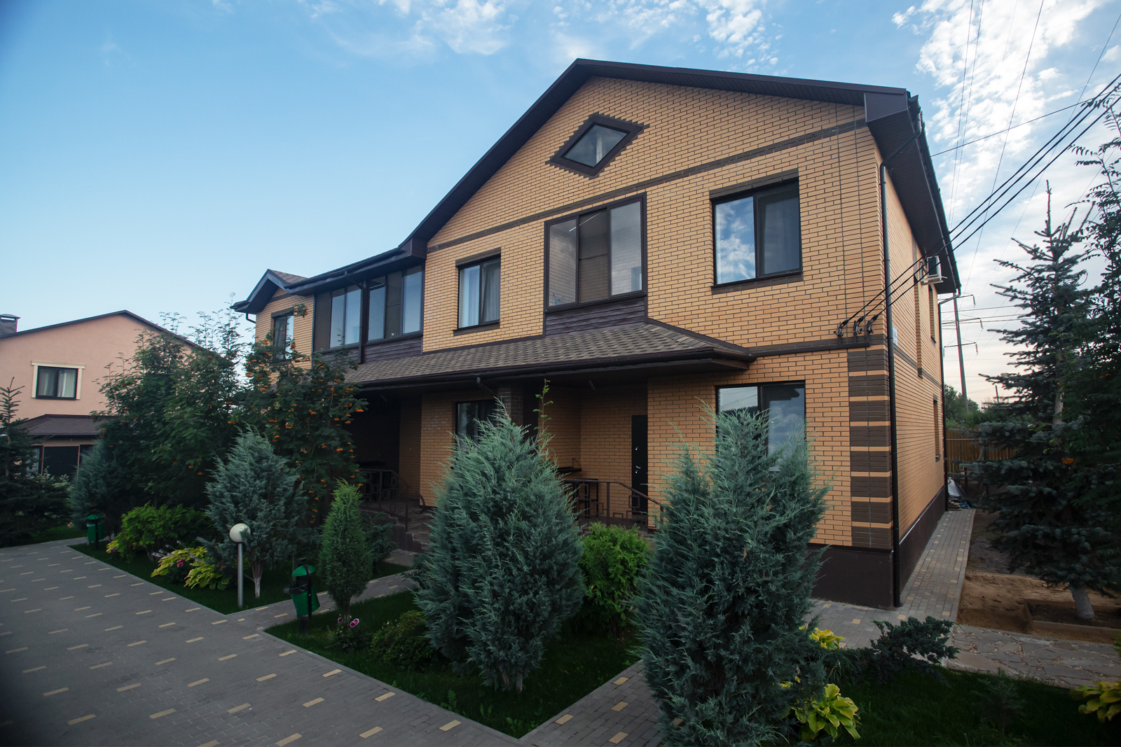 Фото Тополя