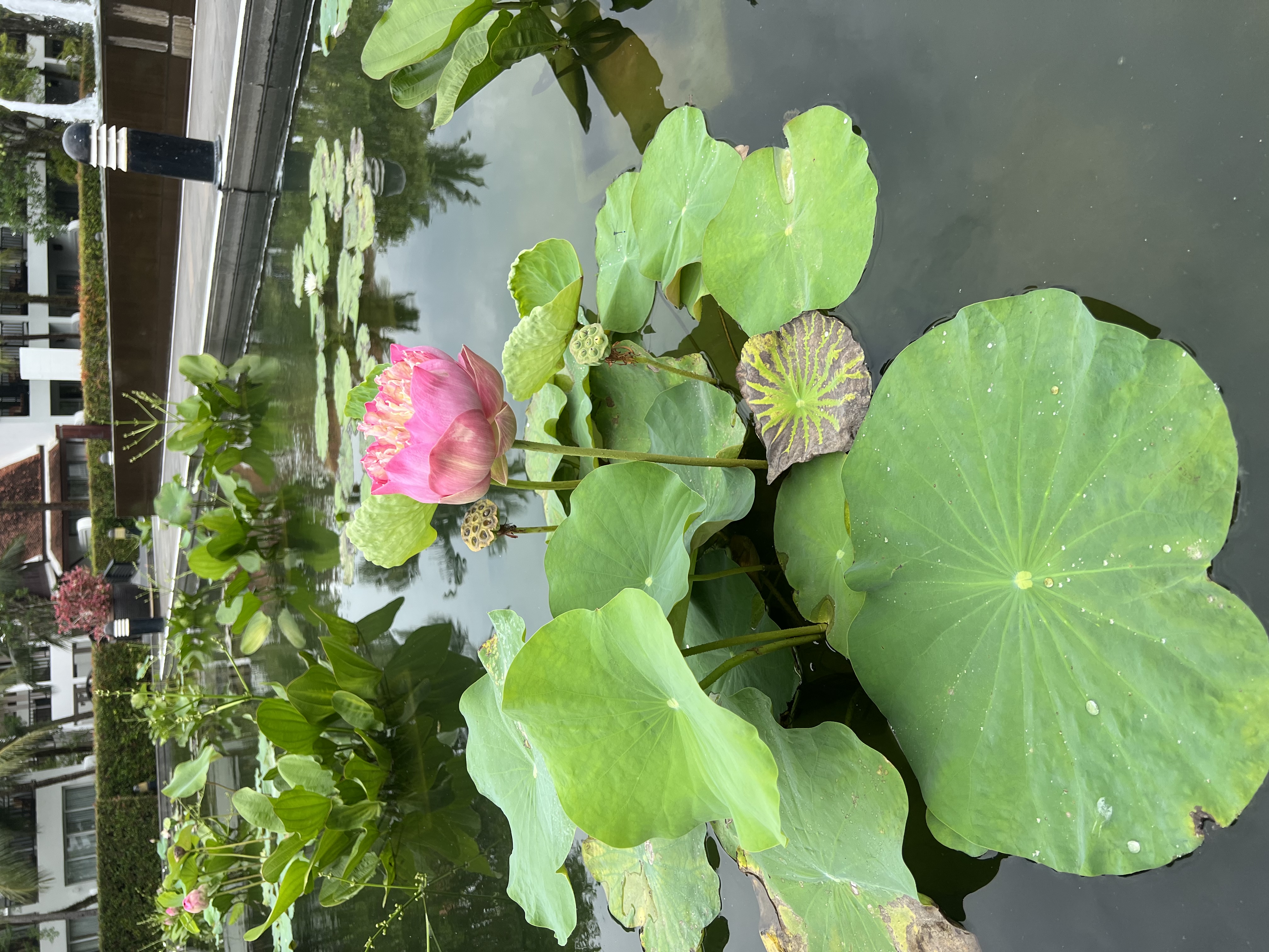 Фото JW Marriott Khao Lak Resort and SPA