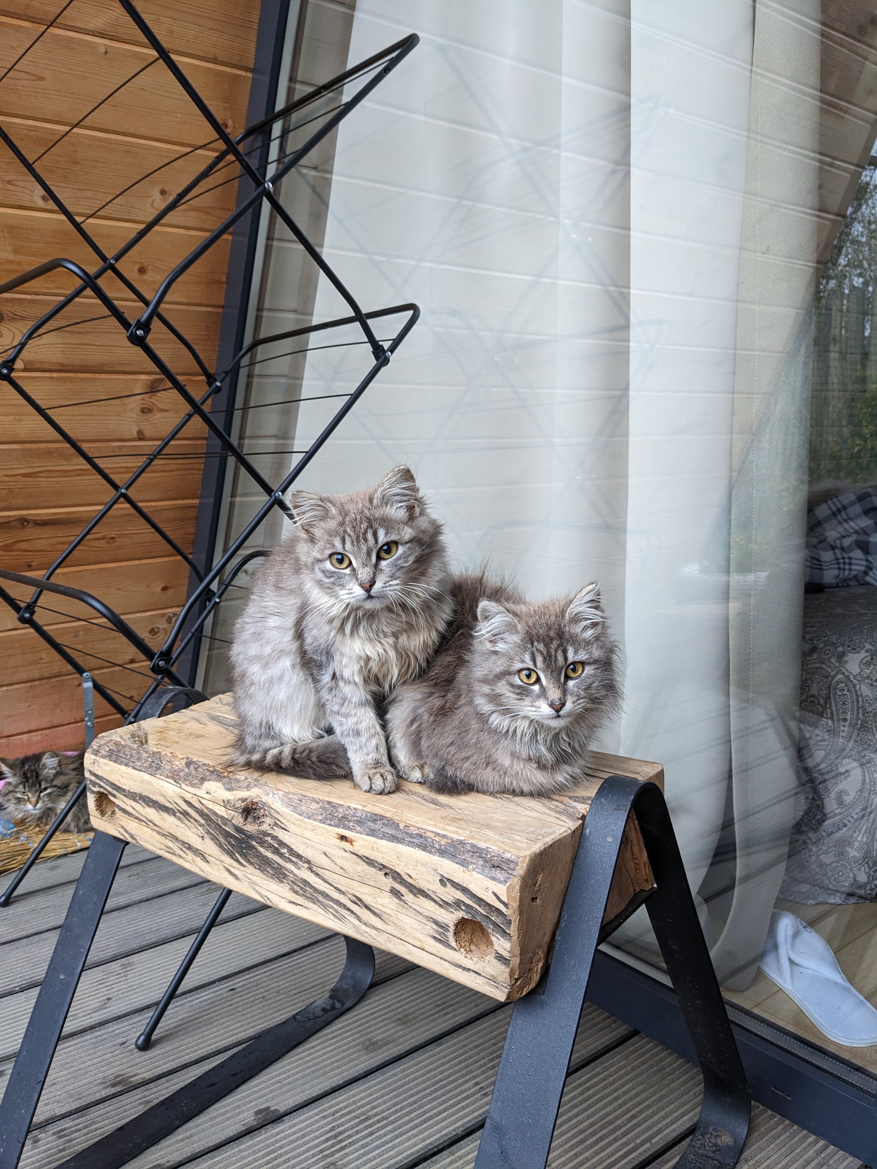 Фото Домик в Деревне Green Wood