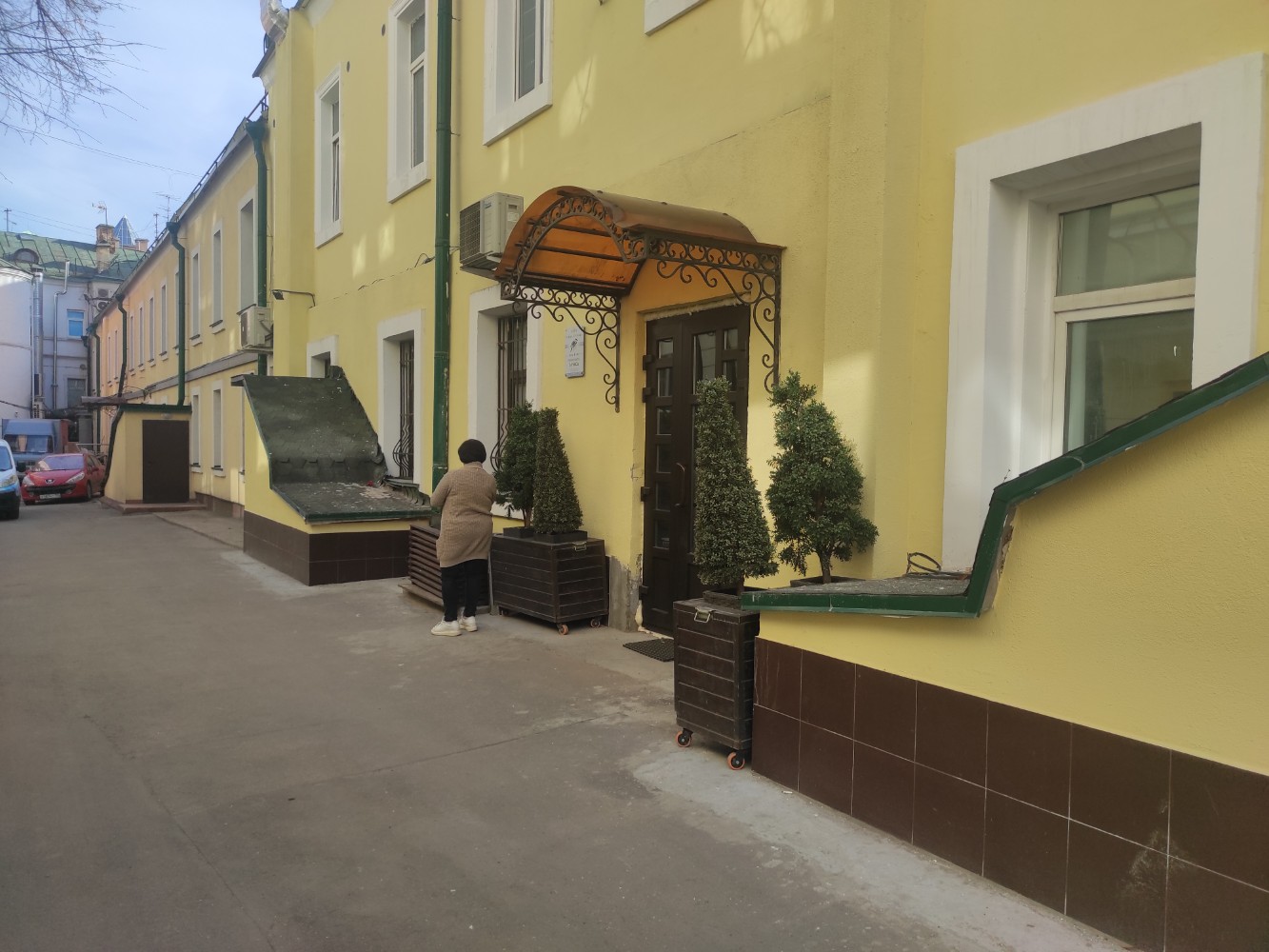 Фото Птица-Синица